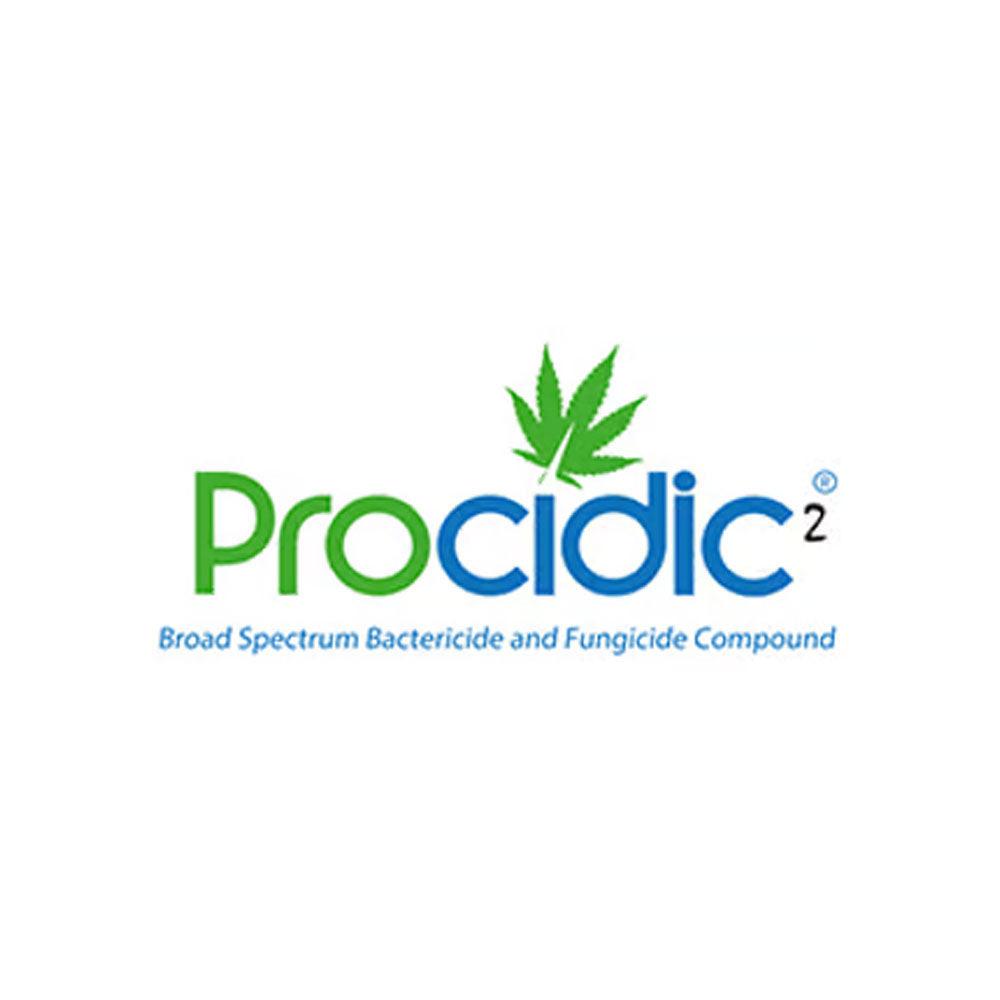 Procidic2