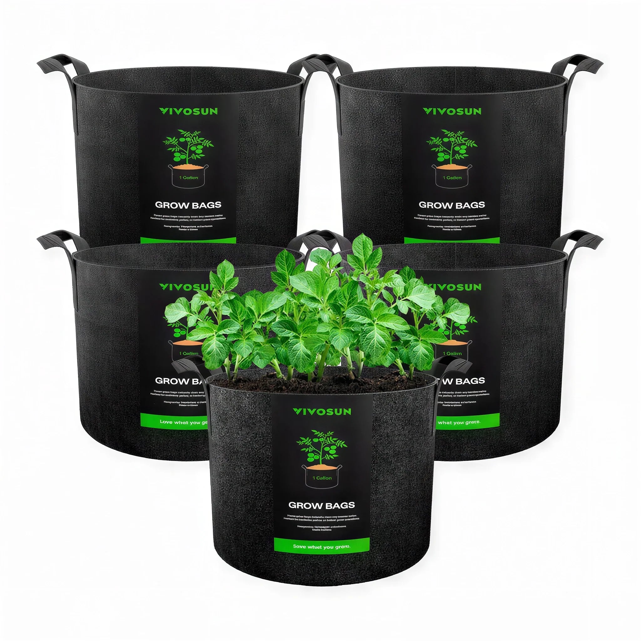 Vivosun Thick Nonwoven Fabric Pot with Handles, 1 Gallon, Pack of 5