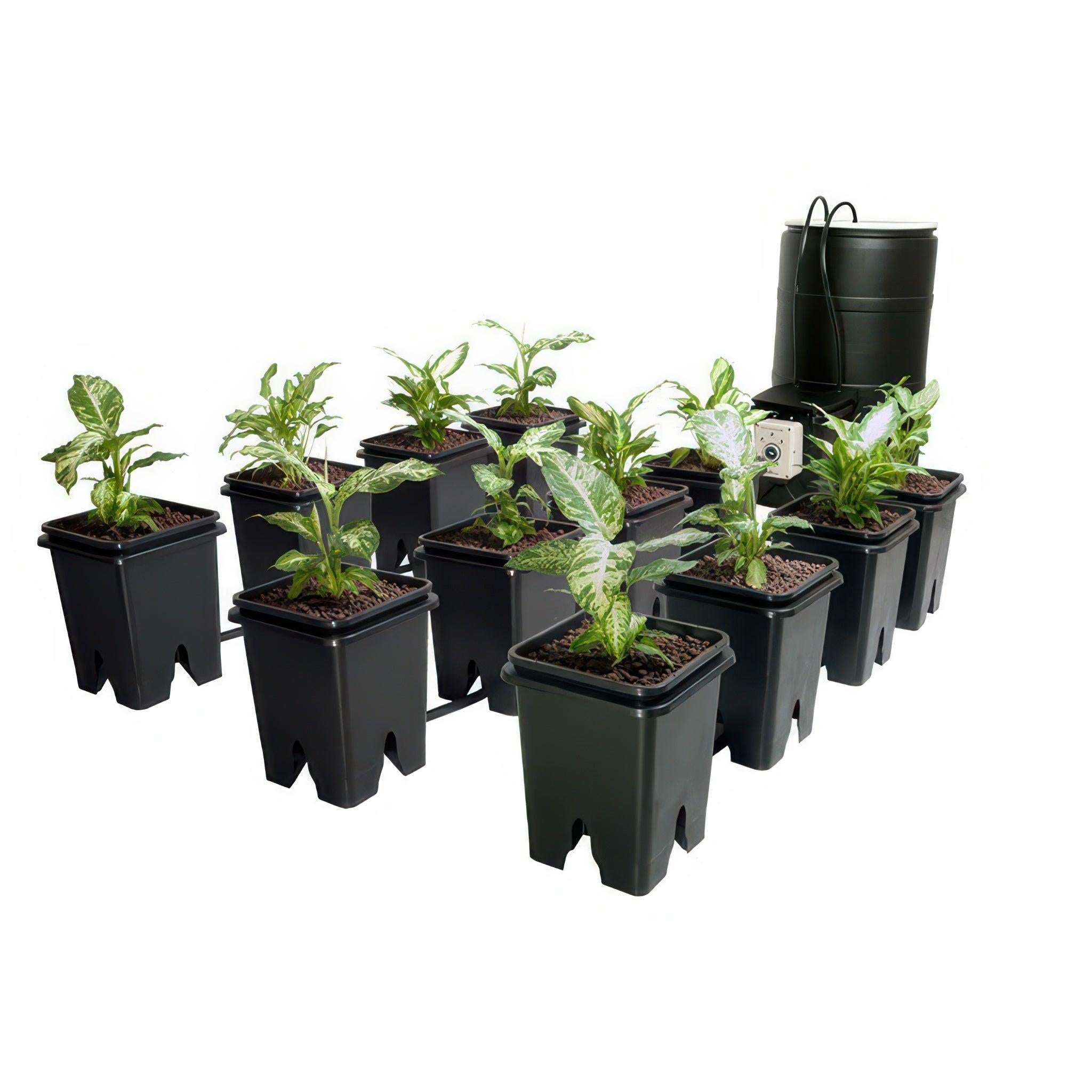 水耕栽培　フルセットActive Aqua's Grow Flow Active Aqua Grow Flow 12 Site Ebb & Flow Hydroponic System with 5