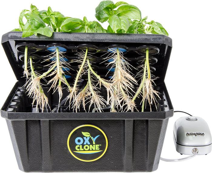oxyCLONE System - Thumbnail 3