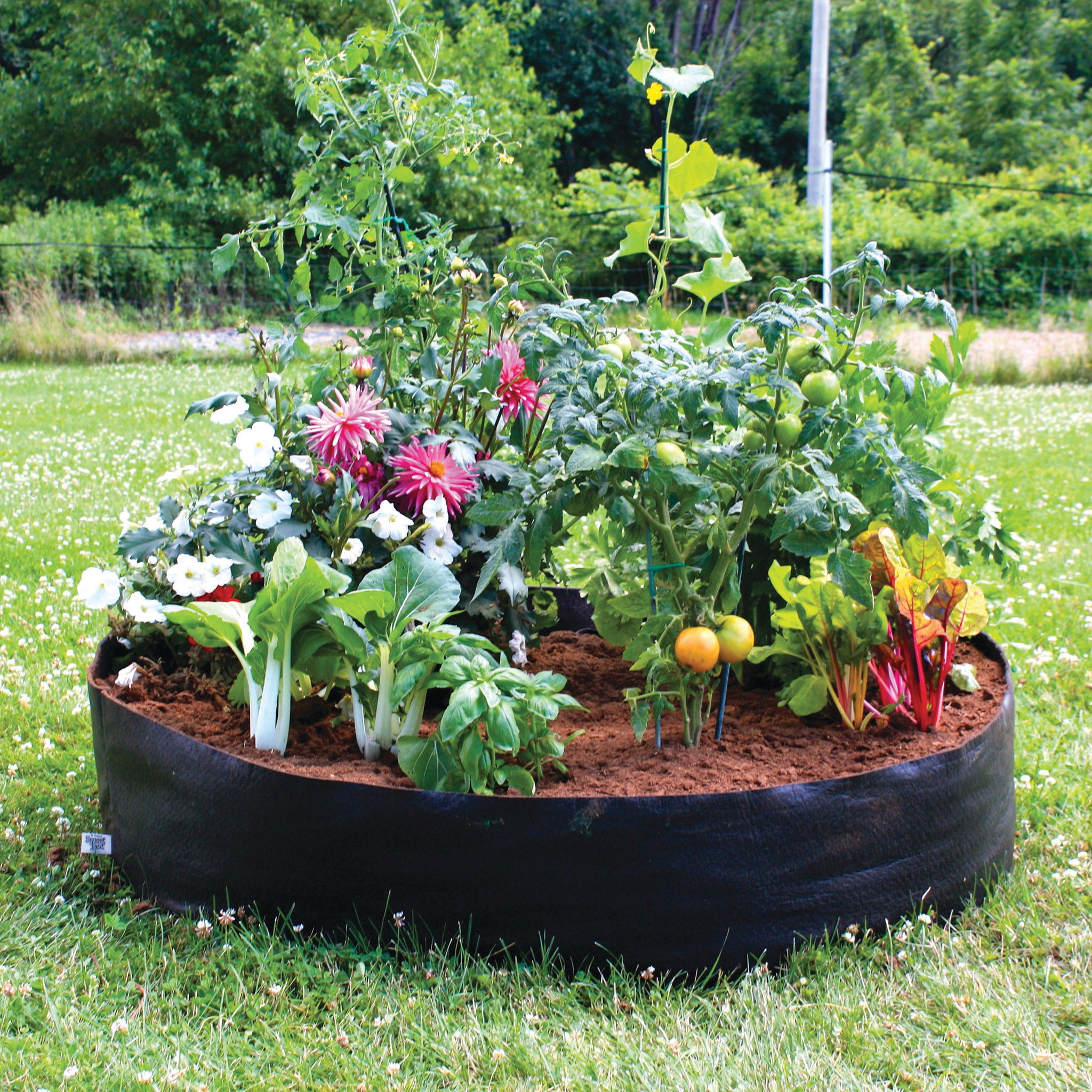 Smart Pot 50" Round Raised Bed, Black