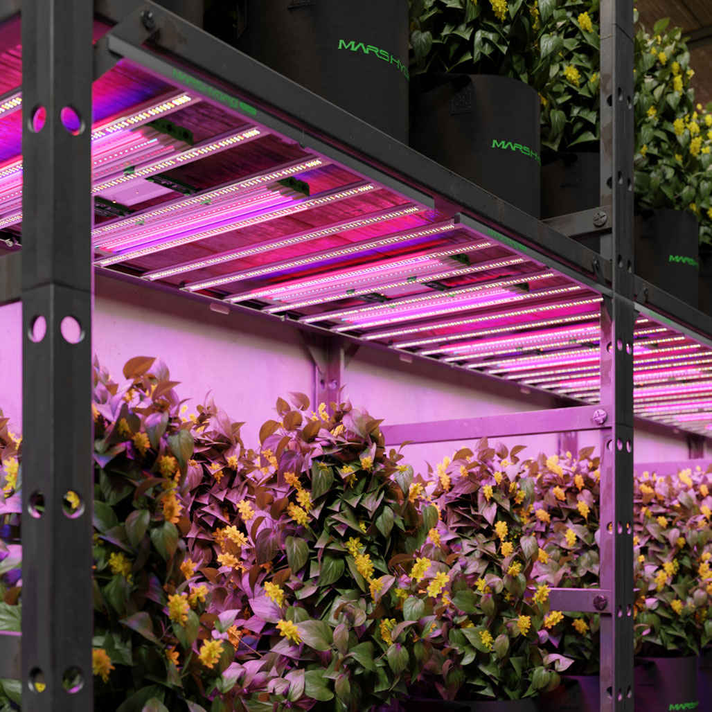 Mars Hydro ADlite UV30+IR15 Supplemental LED Grow Light Bar, Pack of 2