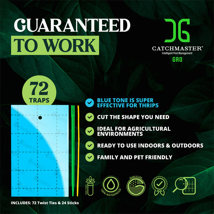 CatchMaster 3" x 5" Double-Sided Blue Sticky Card Insect Trap, Pack of 72