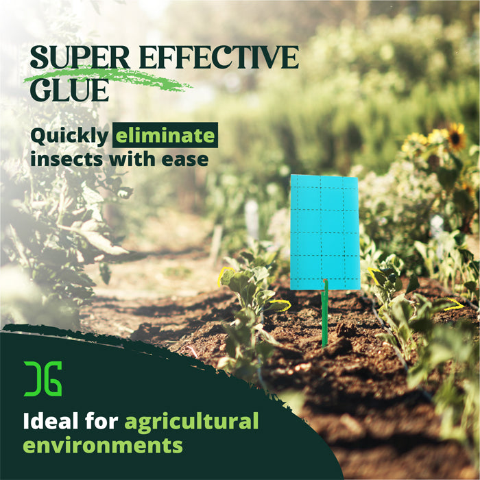 CatchMaster 3" x 5" Double-Sided Blue Sticky Card Insect Trap, Pack of 72