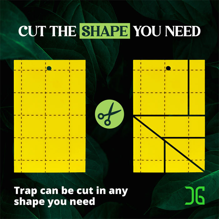 CatchMaster 3" x 5" Double-Sided Yellow Sticky Card Insect Trap, Pack of 72