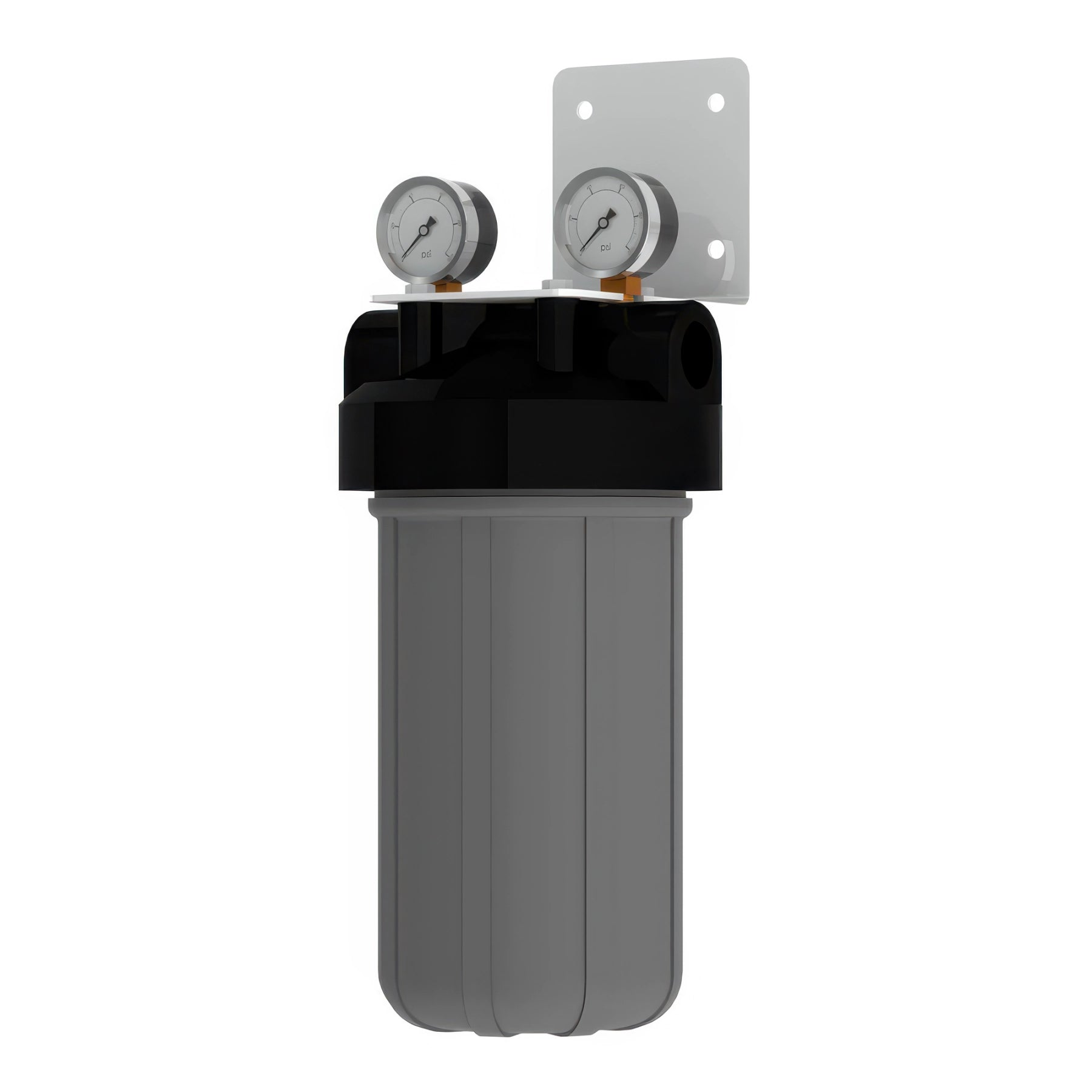 AXEON FSD-110 Single Stage Cartridge Filter System