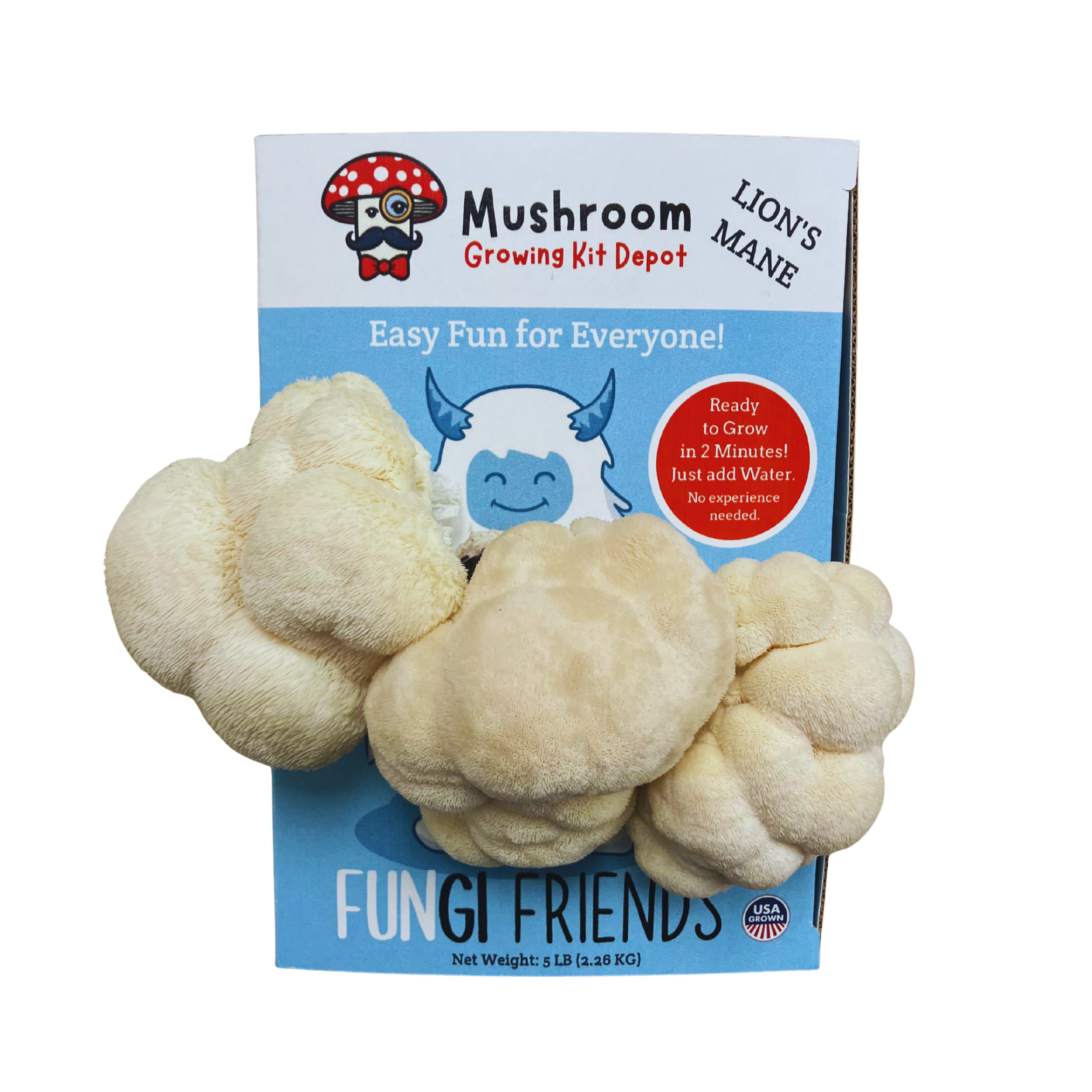 Betty the Yeti - Lion's Mane Mushroom Grow Kit - 5 LBS (with box).