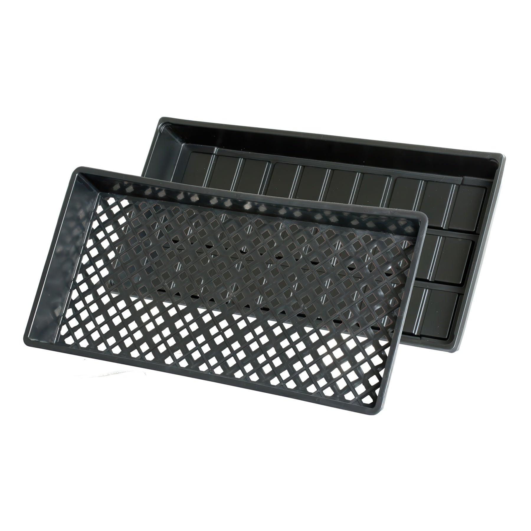 Hydrofarm Cut Kit Tray 10" x 20" With Mesh Tray, Pack of 50