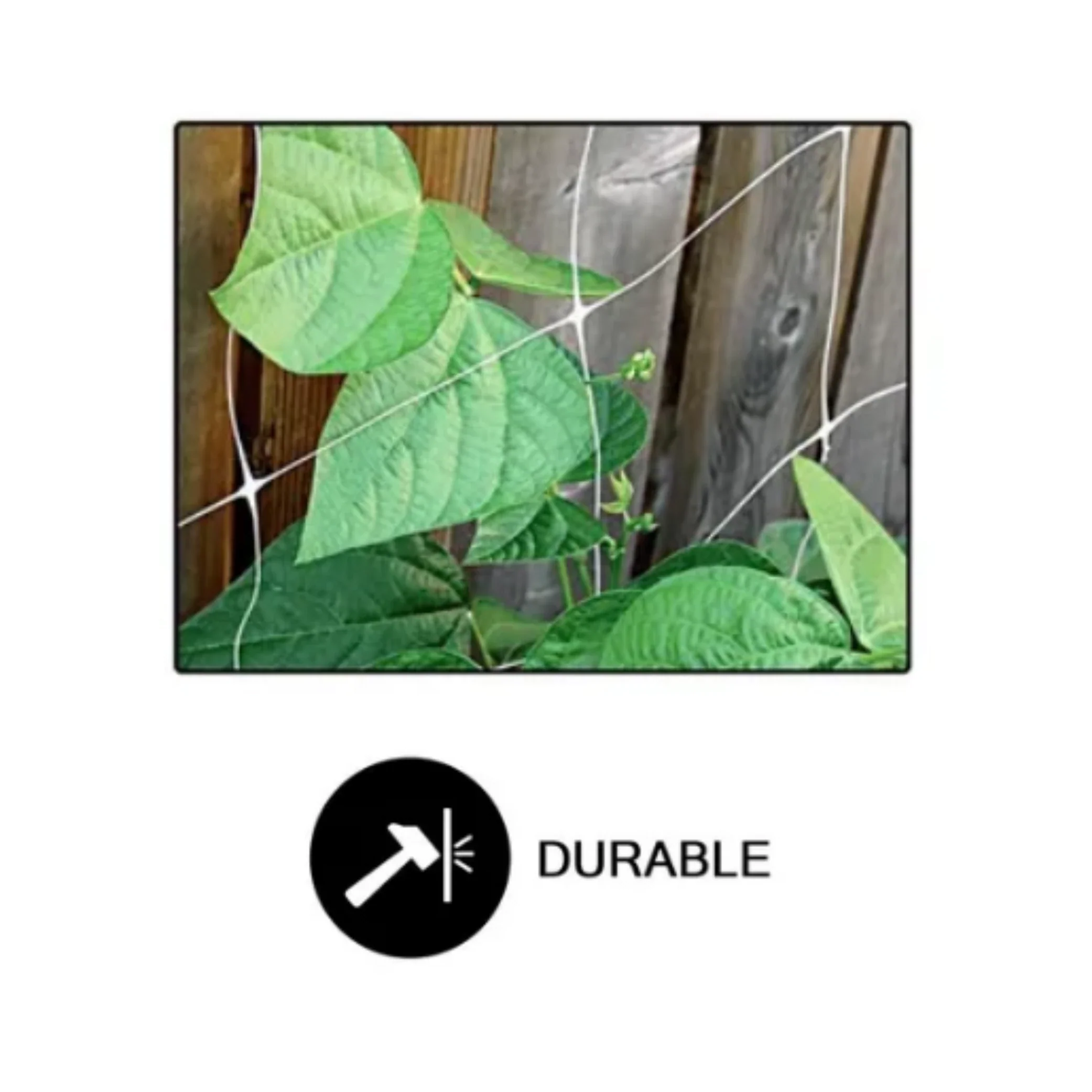 Common Culture Bio Trellis Netting Bulk Roll 5 ft x 3,280 ft w/ 4 in Squares.
