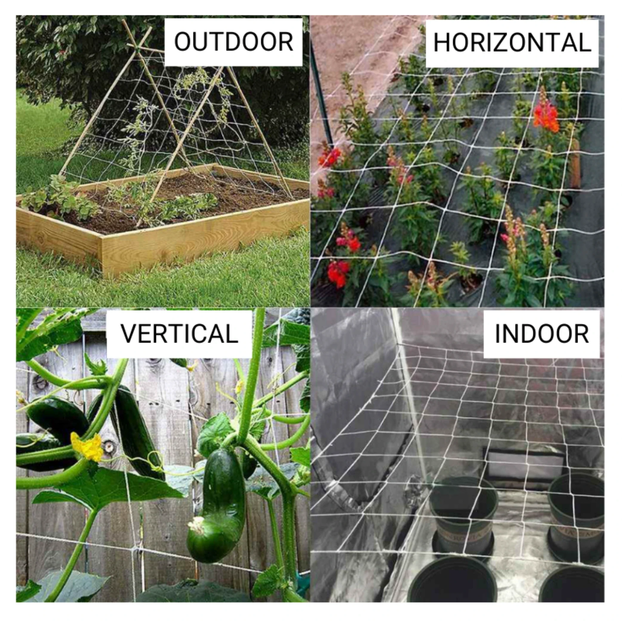 Common Culture Bio Trellis Netting Bulk Roll 5 ft x 15 ft w/ 6in Squares.