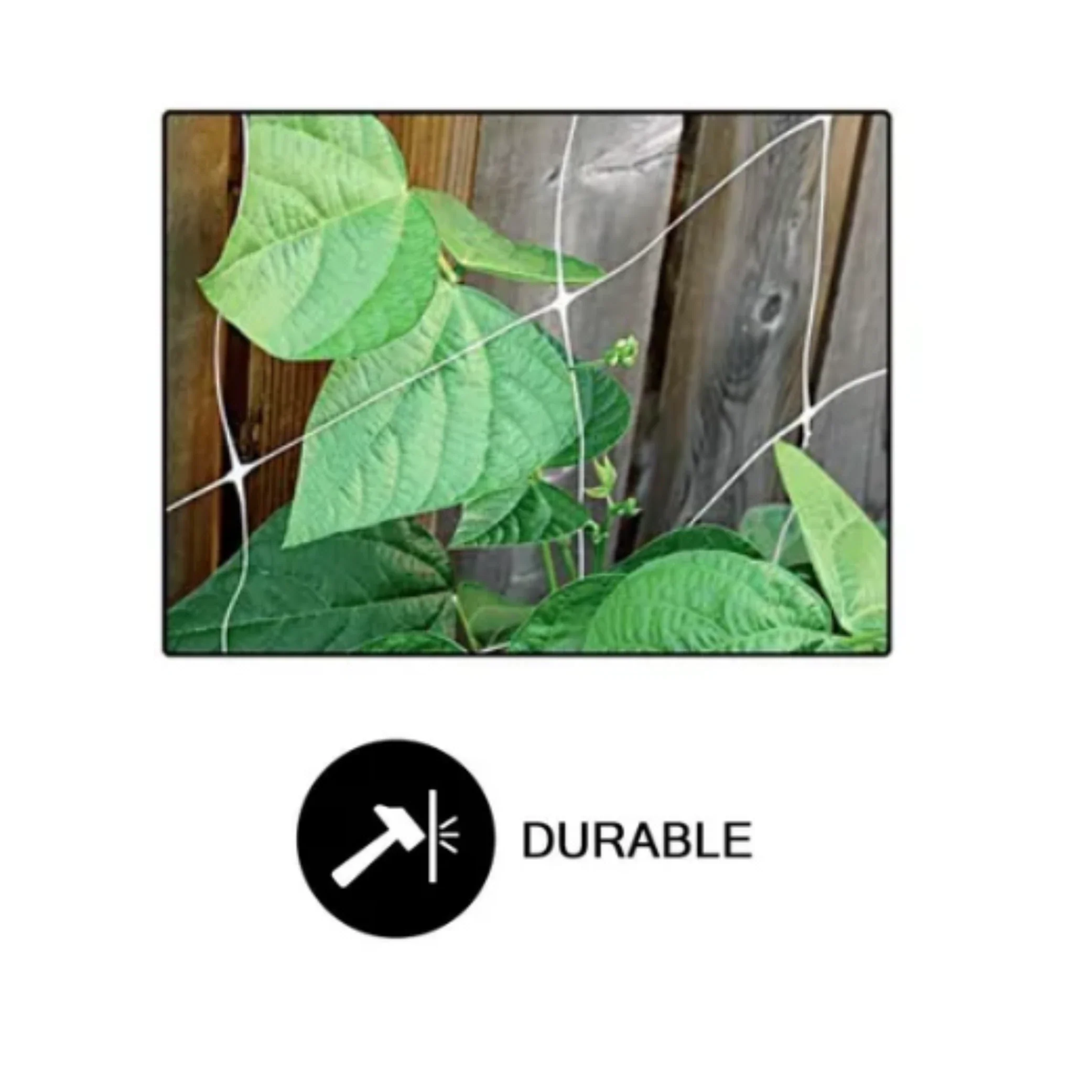 Common Culture Bio Trellis Netting Bulk Roll 5 ft x 15 ft w/ 6in Squares.