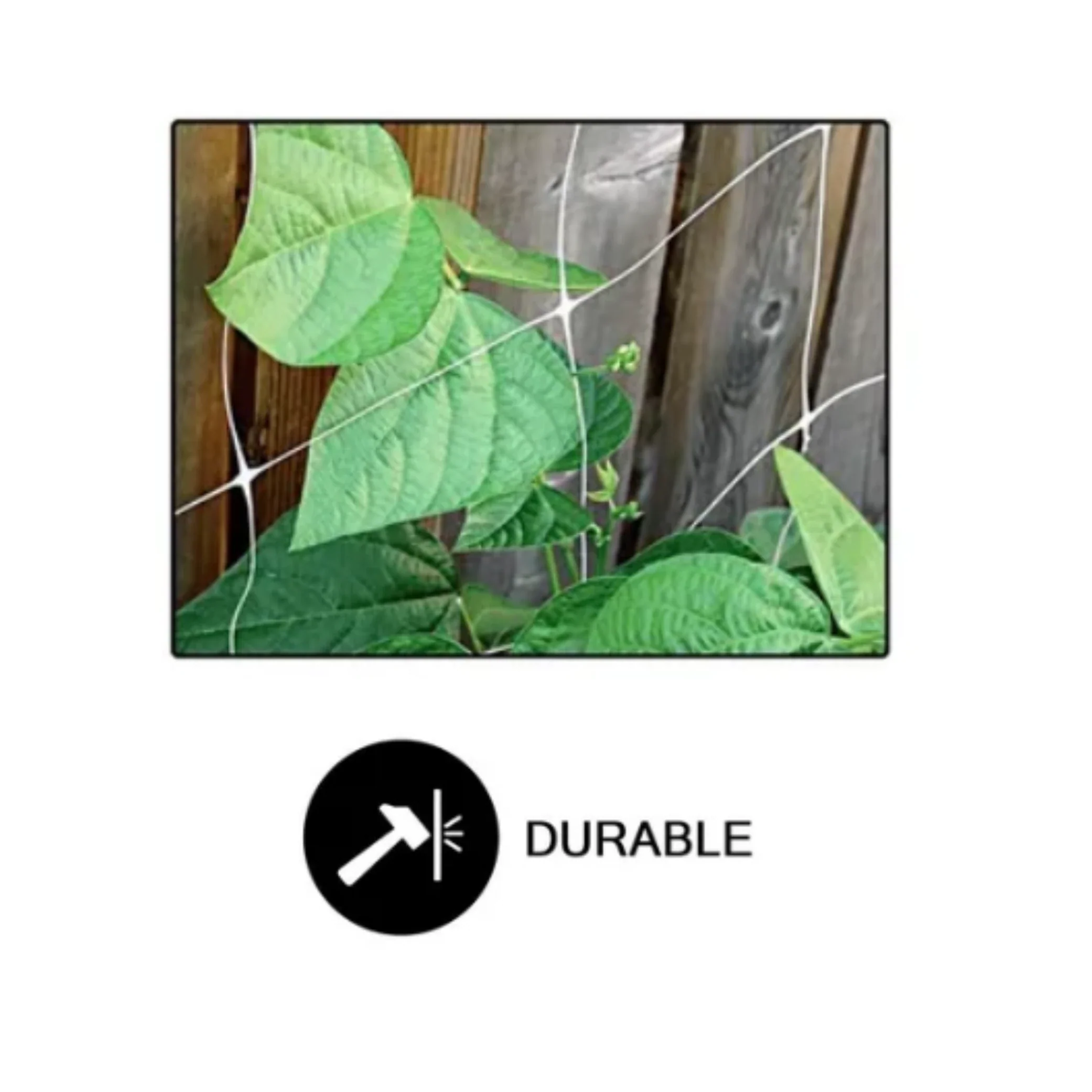 Common Culture Bio Trellis Netting Bulk Roll 5 ft x 60 ft w/ 6in Squares.