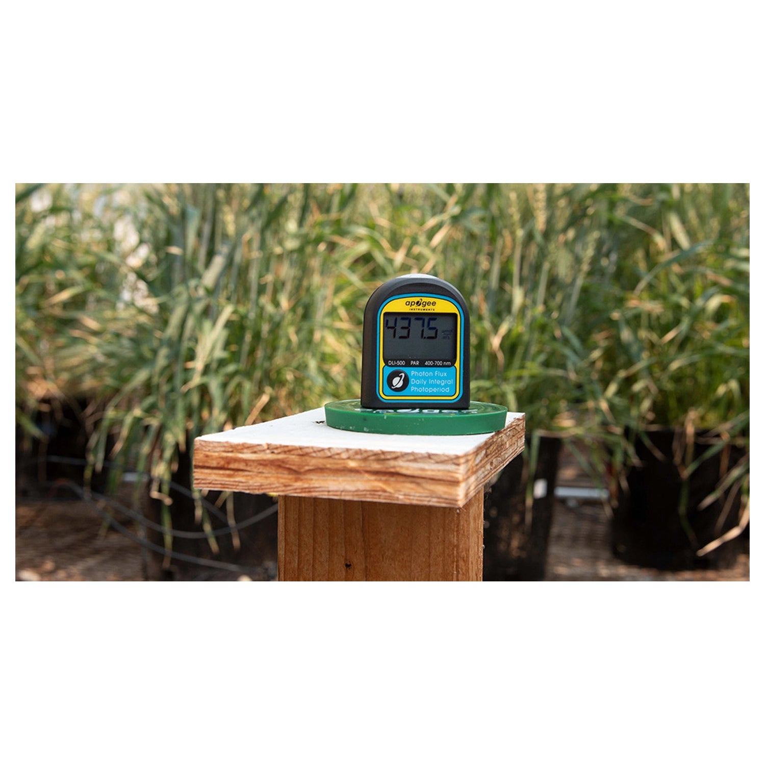 Apogee Instruments DLI-500 Full-Spectrum, PAR, Daily Light Integral, and Photoperiod Meter (400-700 nm)