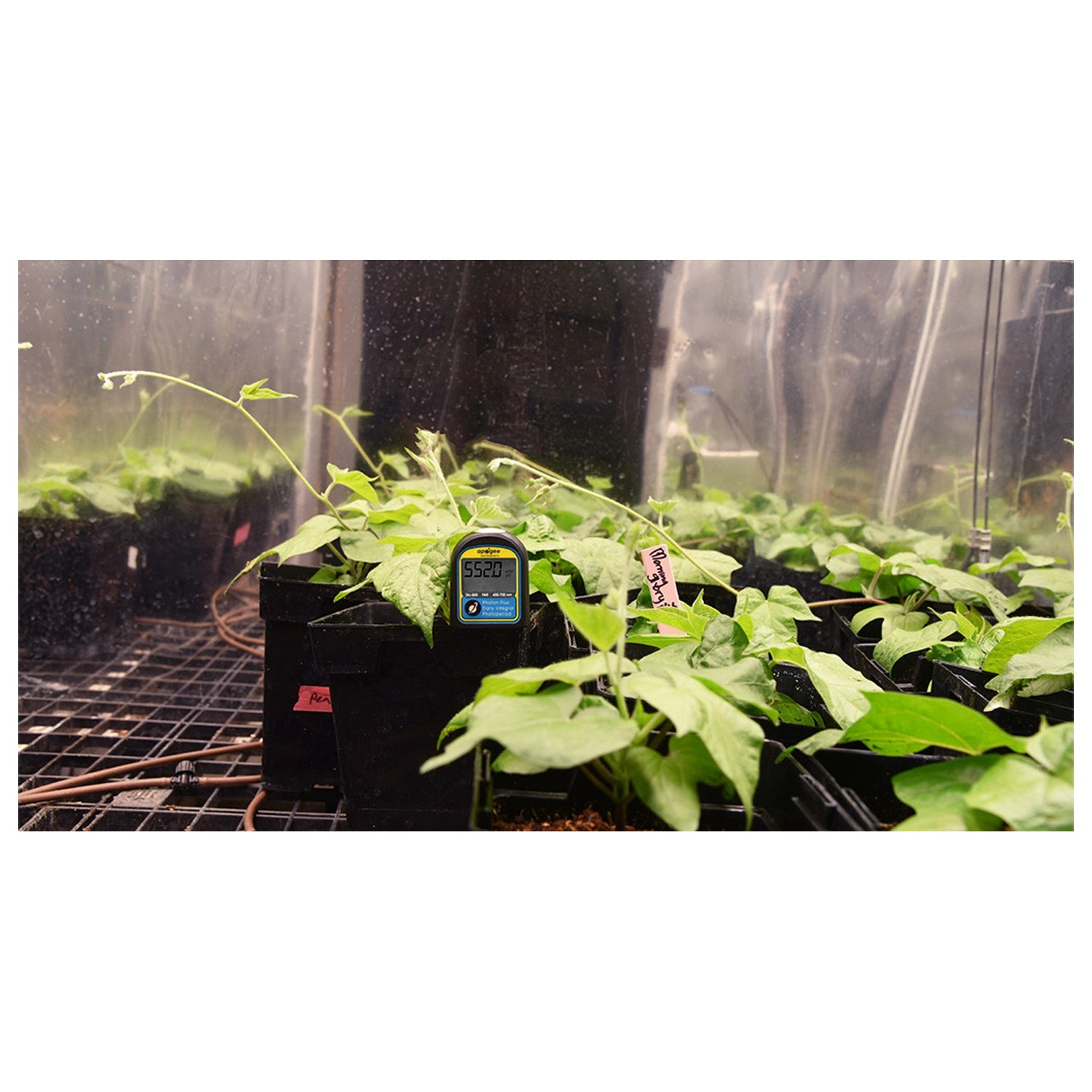 Apogee Instruments DLI-500 Full-Spectrum, PAR, Daily Light Integral, and Photoperiod Meter (400-700 nm)