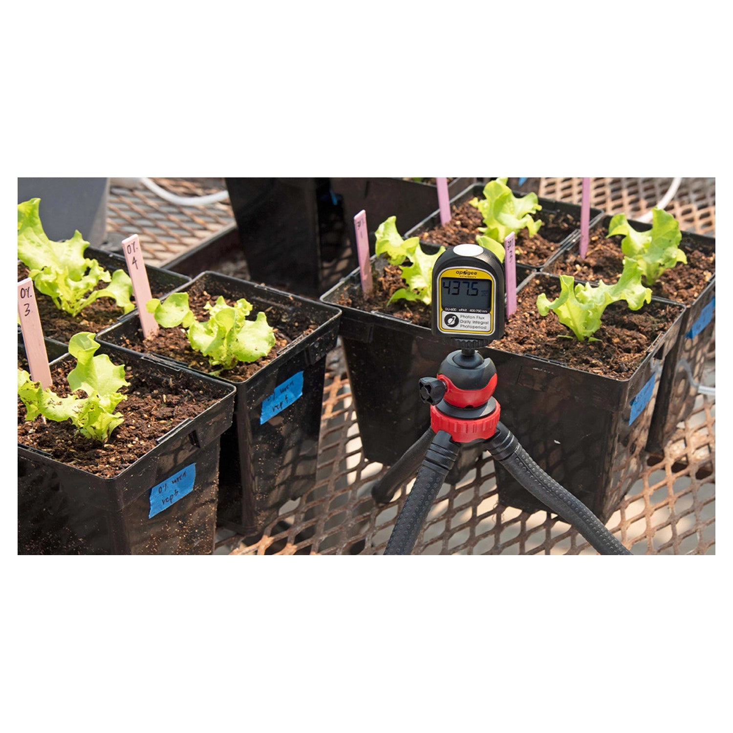 Apogee Instruments DLI-600 ePAR, Daily Light Integral, and Photoperiod Meter (400-750 nm)