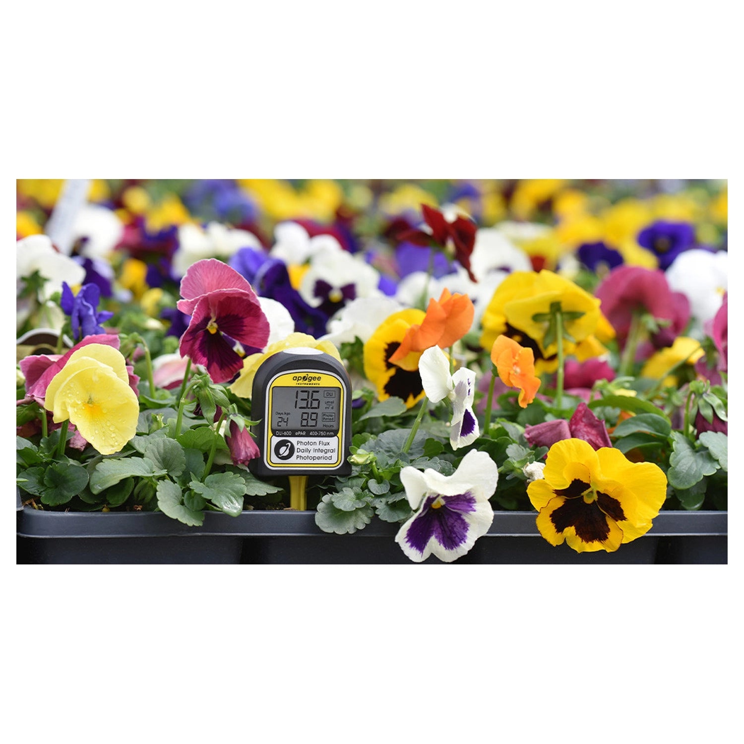 Apogee Instruments DLI-600 ePAR, Daily Light Integral, and Photoperiod Meter (400-750 nm)