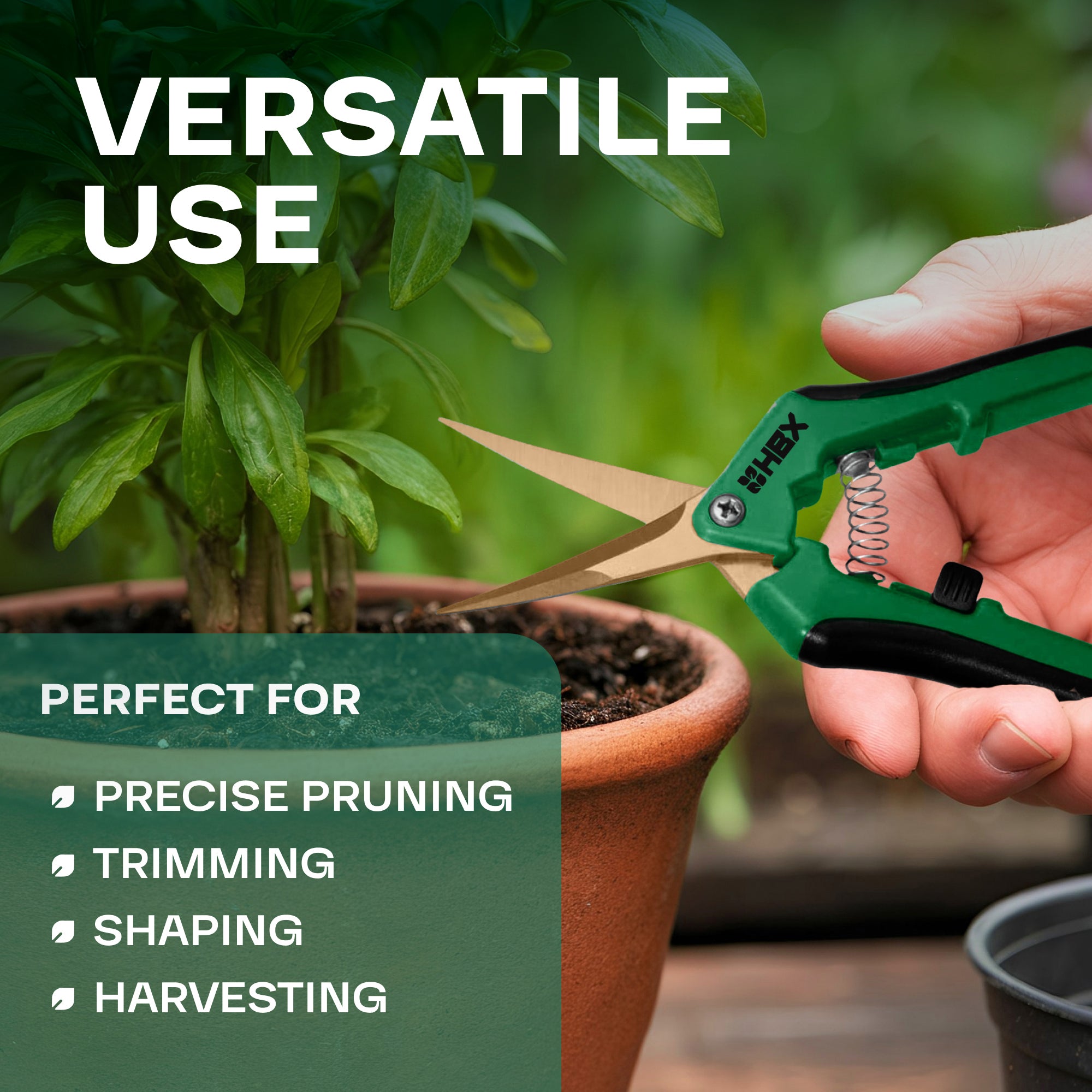 HBX Stainless Steel Curved Precision Garden Trimming Scissors