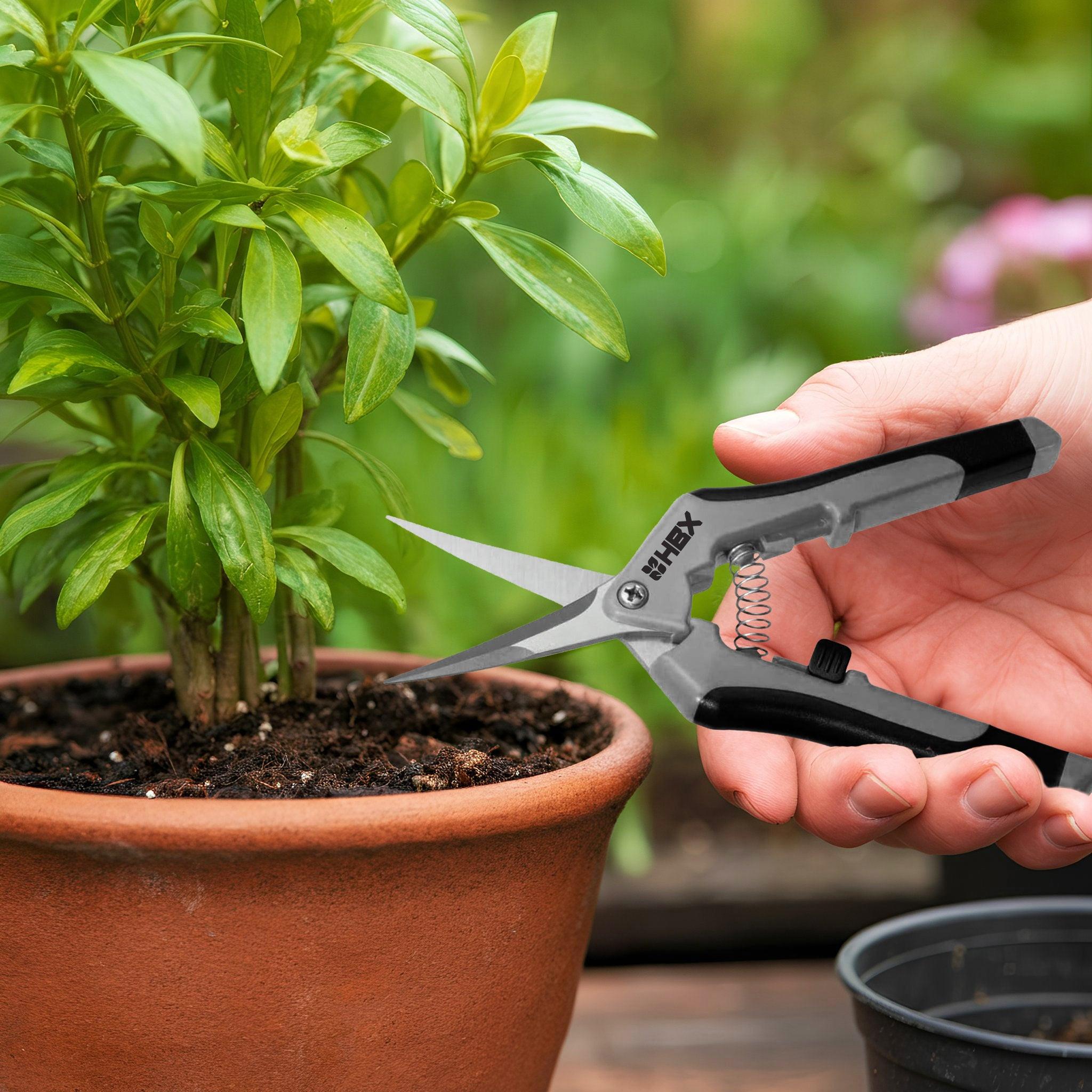 【MOMO】アプリコット HBX Titanium Straight Precision Garden Trimming Scissors