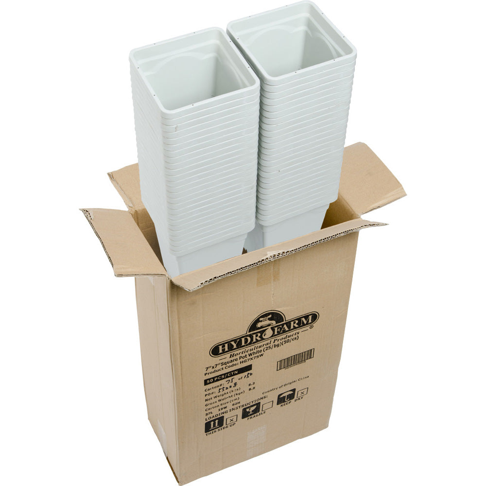 Active Aqua 7" x 7" Square White Pot, 9" Tall, Case of 50