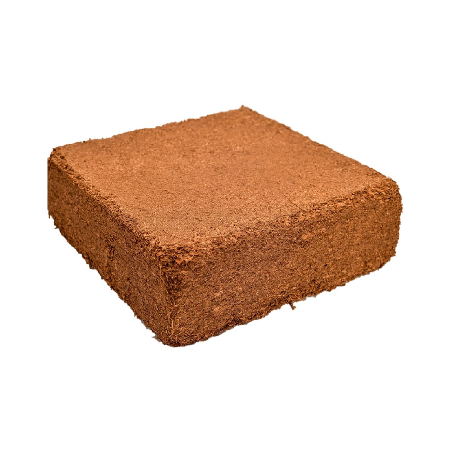 HortGrow Compressed Coco Block, 5 Kg, Pack of 200