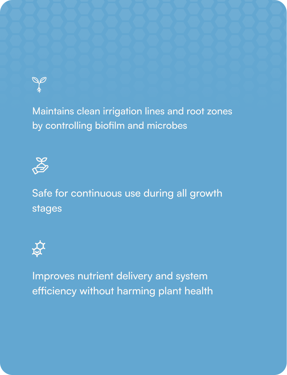 HGV Condition - Clear