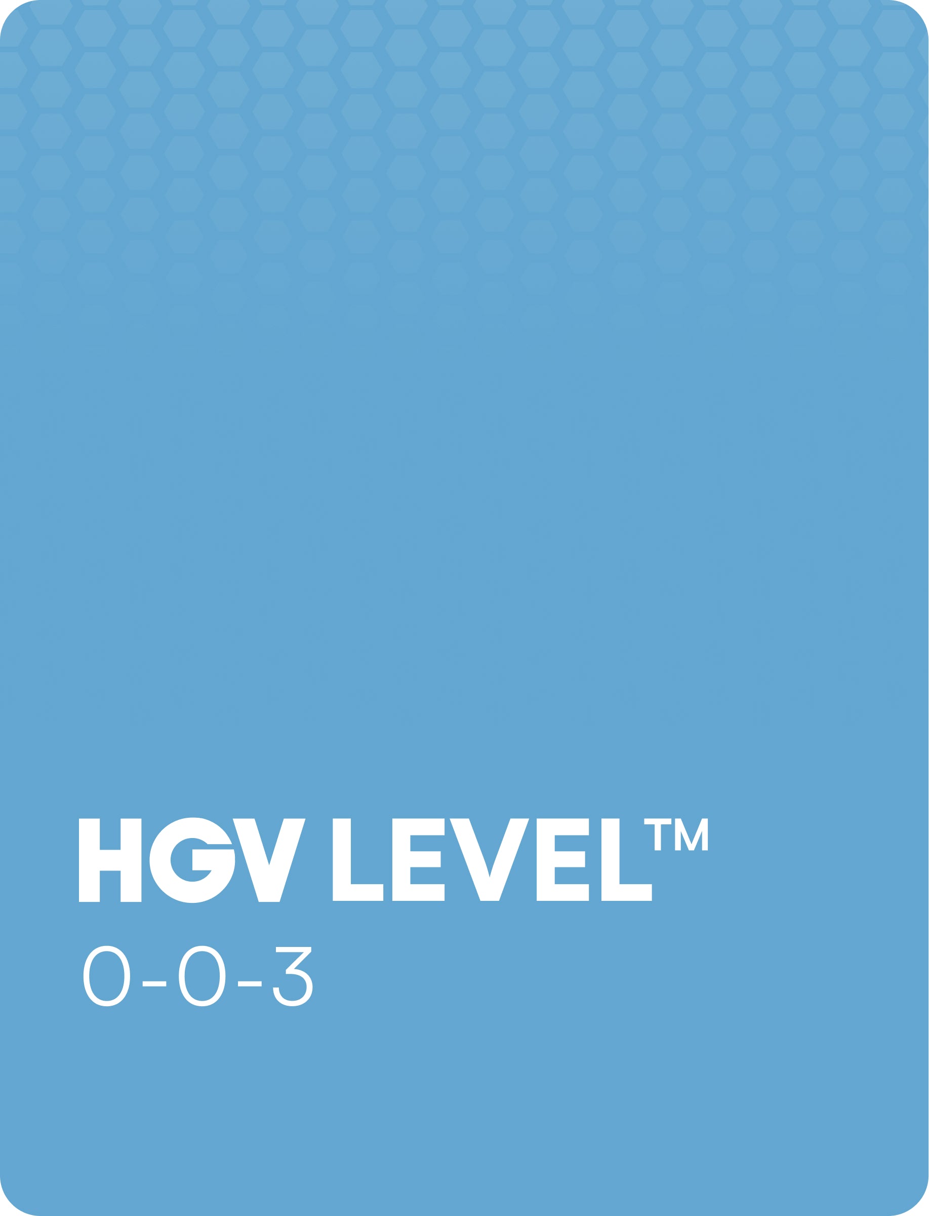 HGV Condition - Level