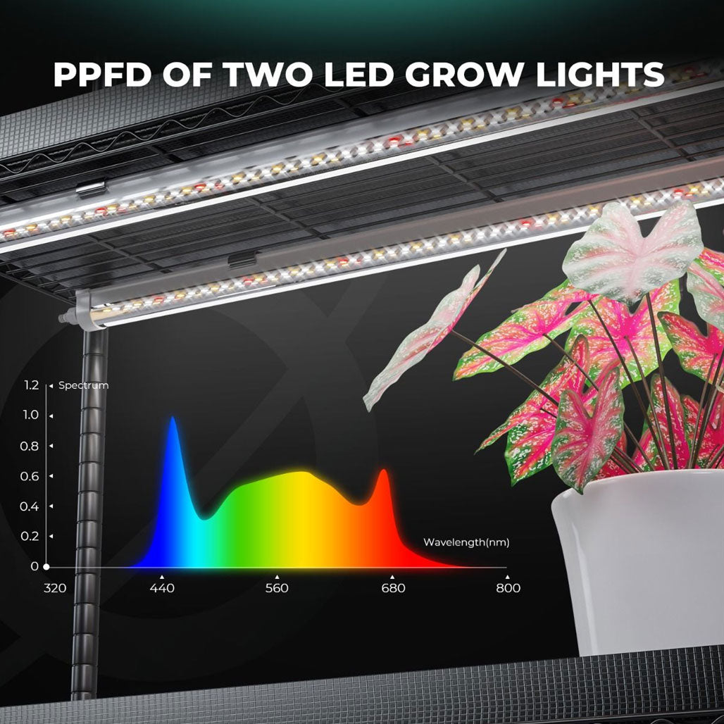 Mars Hydro 6 Tier Clone & Propagation Lighting System