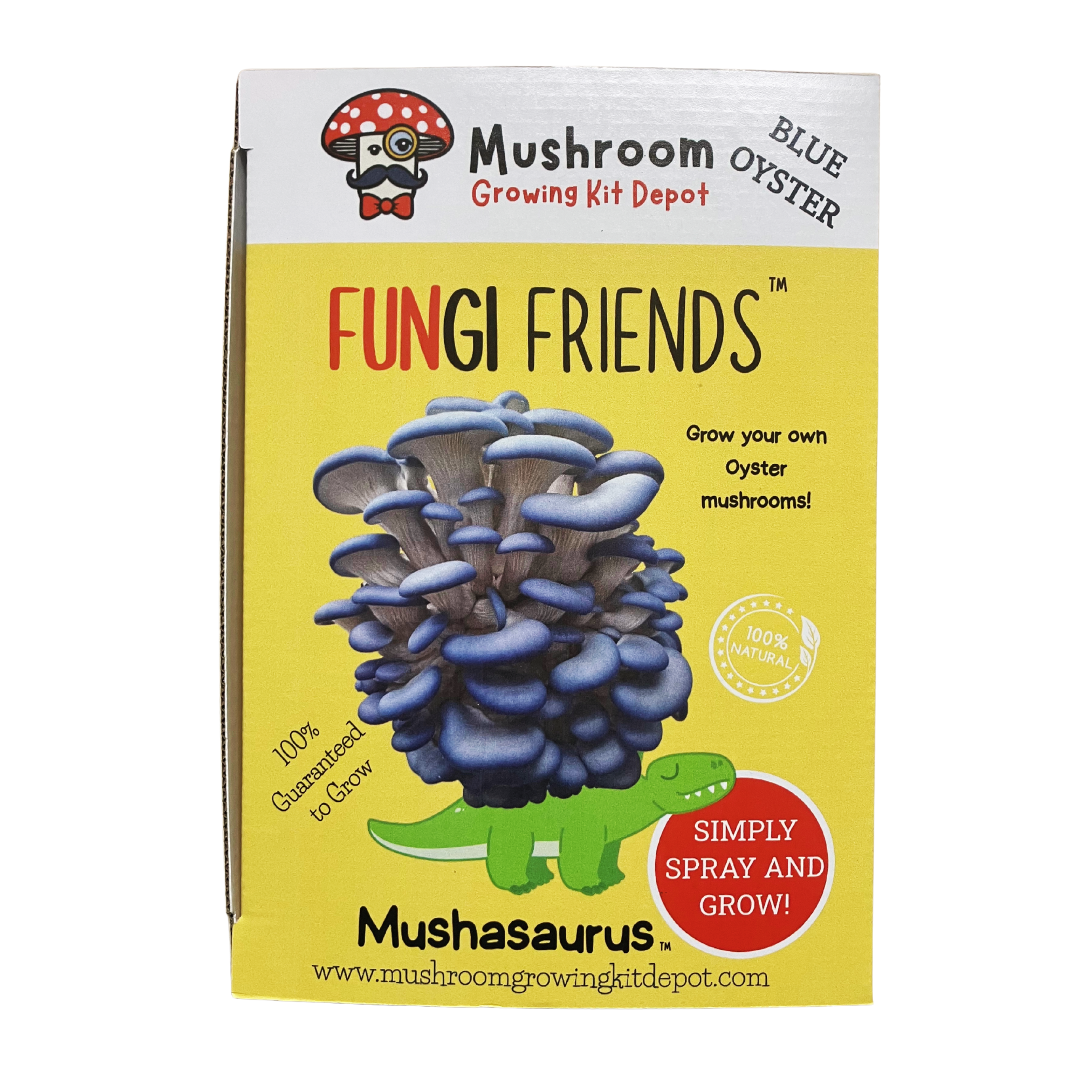 Mushasaurus - Blue Oyster Mushroom Grow Kit - 5 LBS (with box).