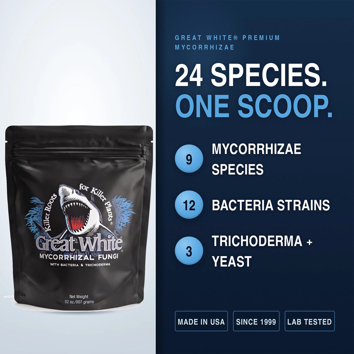 Plant Success Great White, 32 oz.