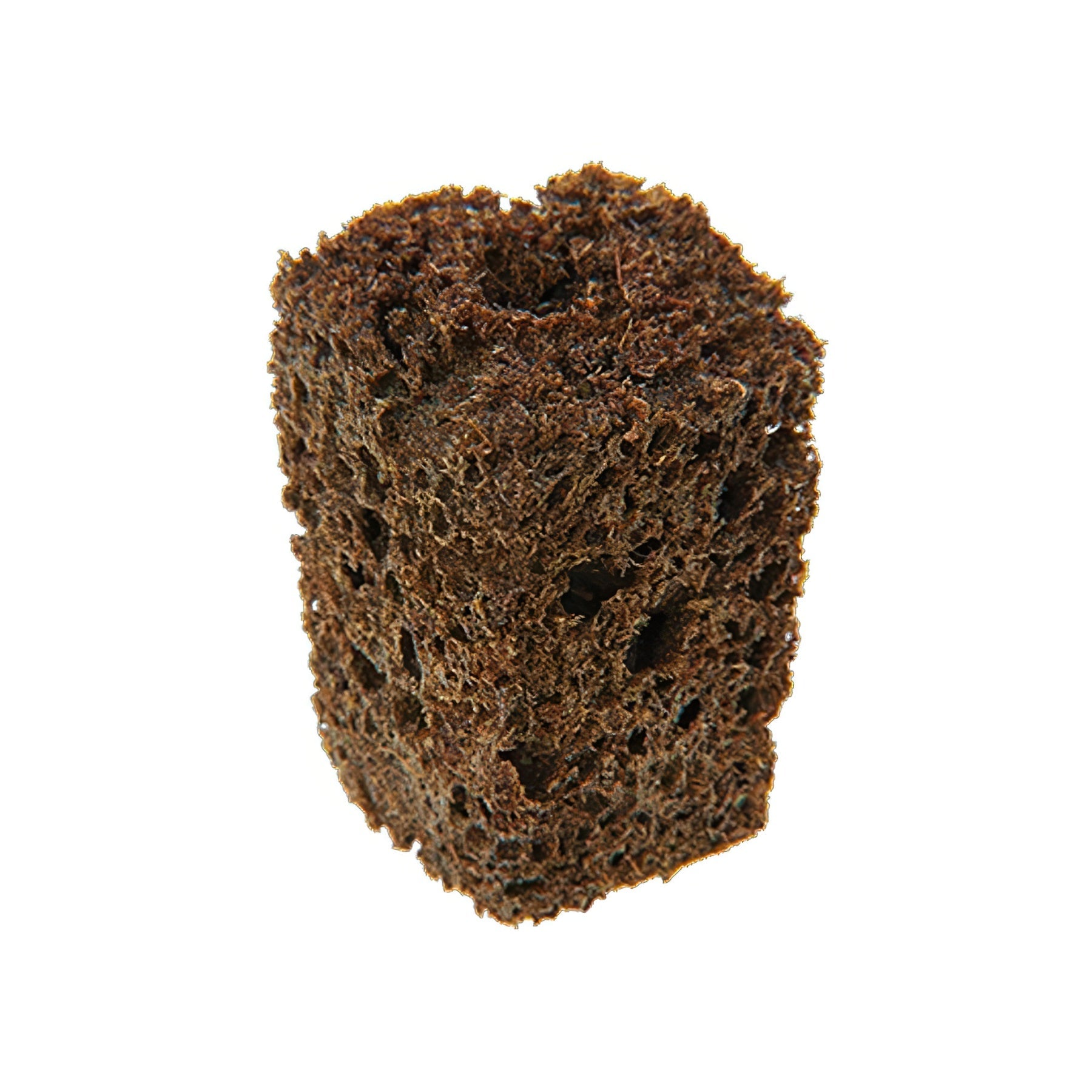 IHORT Q-PLUG Starter Plugs