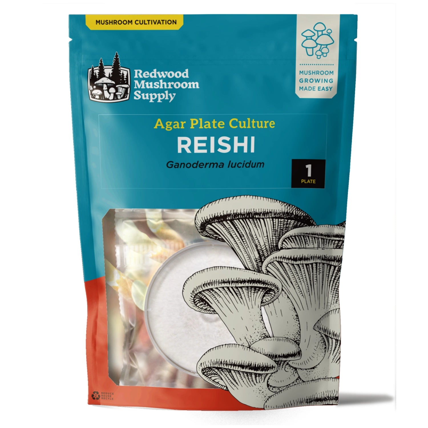 Redwood Mushroom Supply Reishi Mushroom Plate Culture