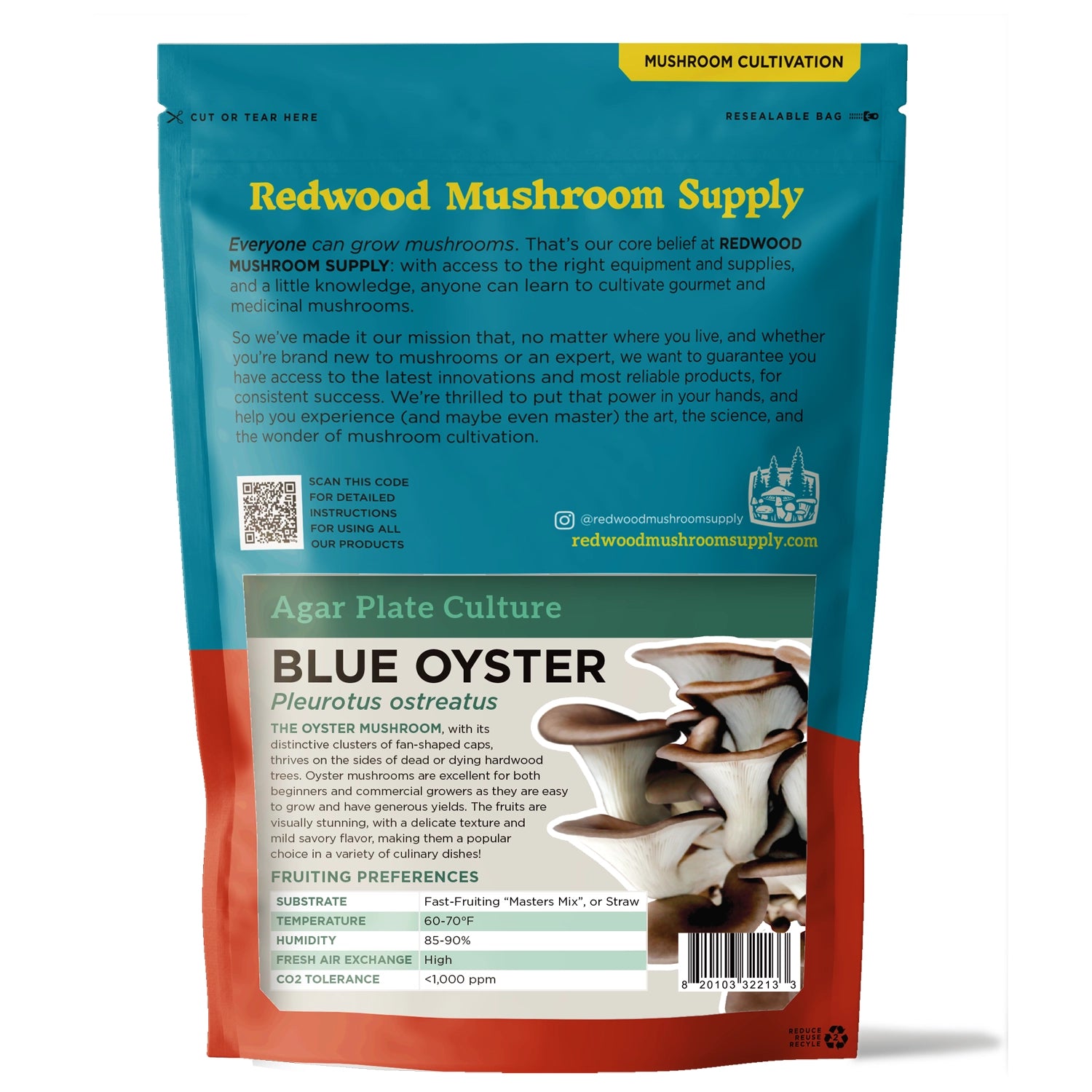 Redwood Mushroom Supply Blue Oyster Mushroom Plate Culture