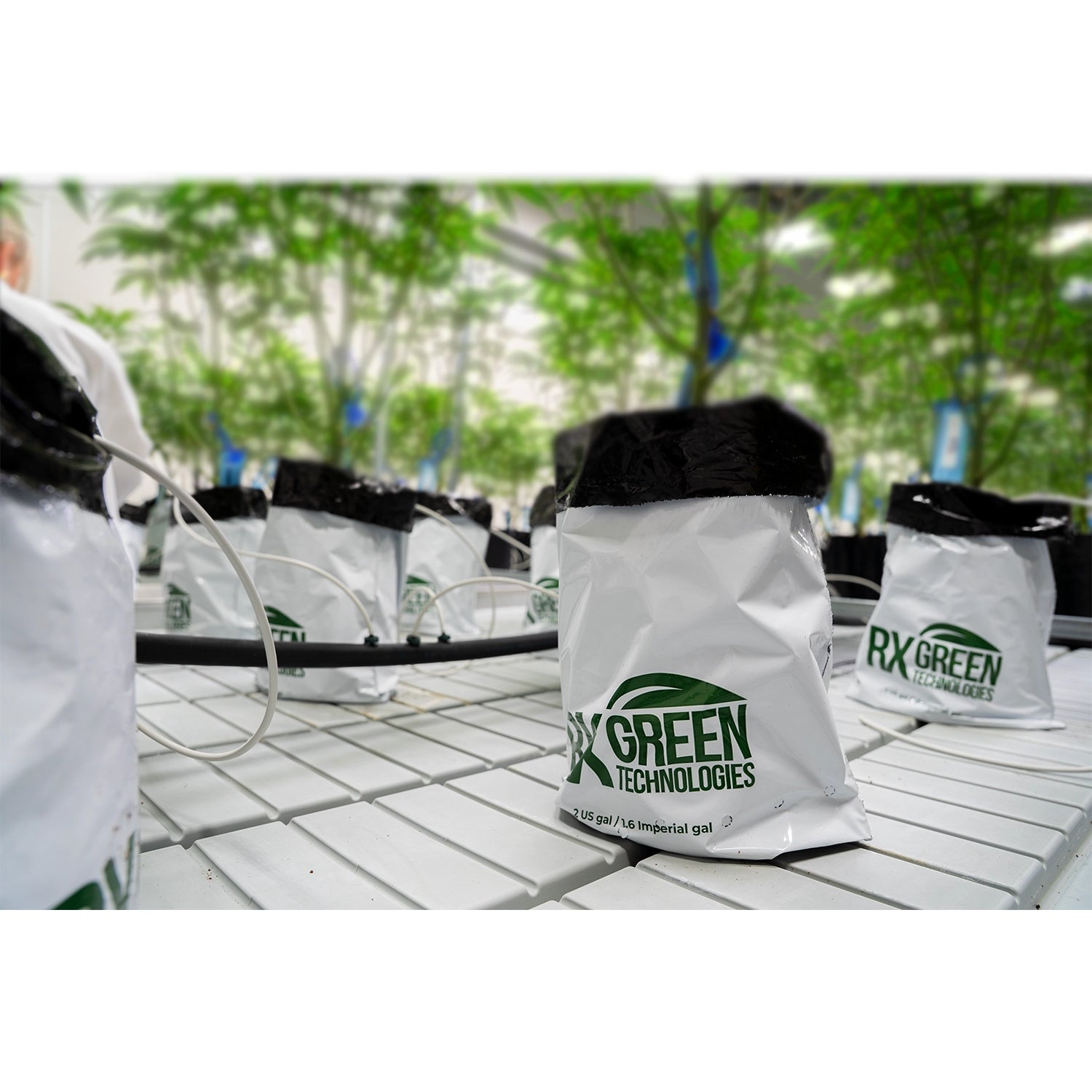 RxGreen Technologies, Inc. Clean Coco Ready-to-Use Grow Bag, 1 Gallon - Pallet of 400