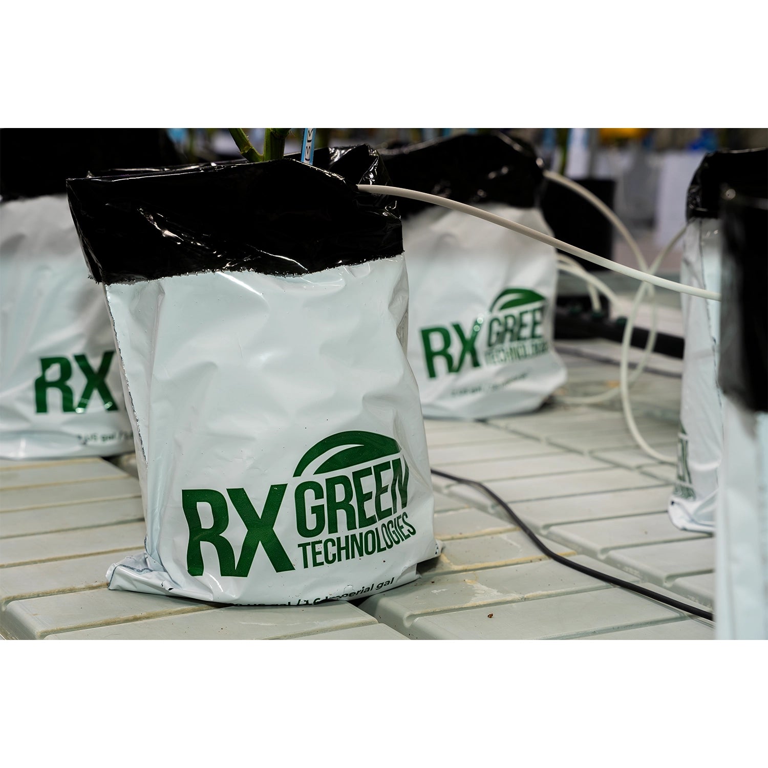 RxGreen Technologies, Inc. Clean Coco Ready-to-Use Grow Bag, 1 Gallon - Pallet of 400