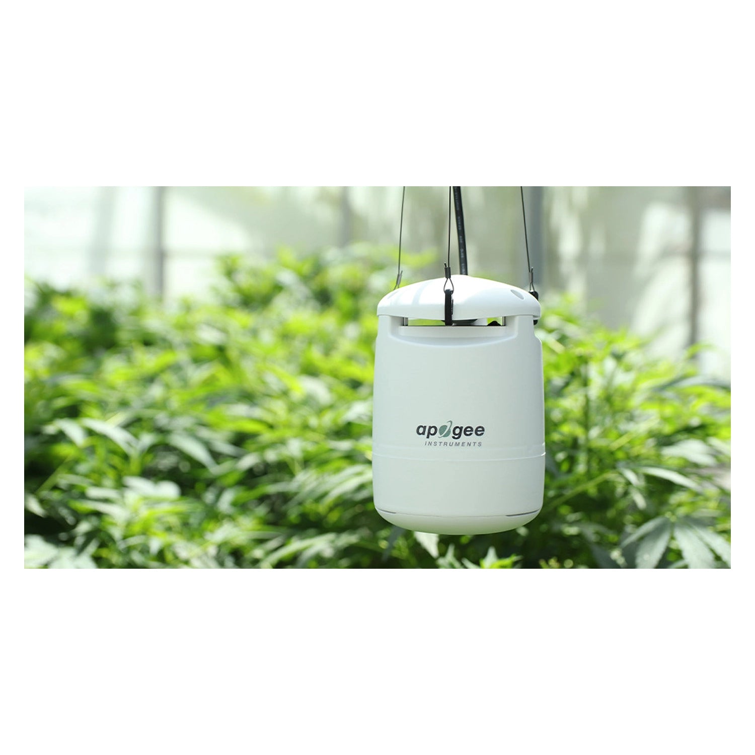 Apogee Instruments SM-500 Full-Spectrum Guardian CEA Multi-Sensor Monitor