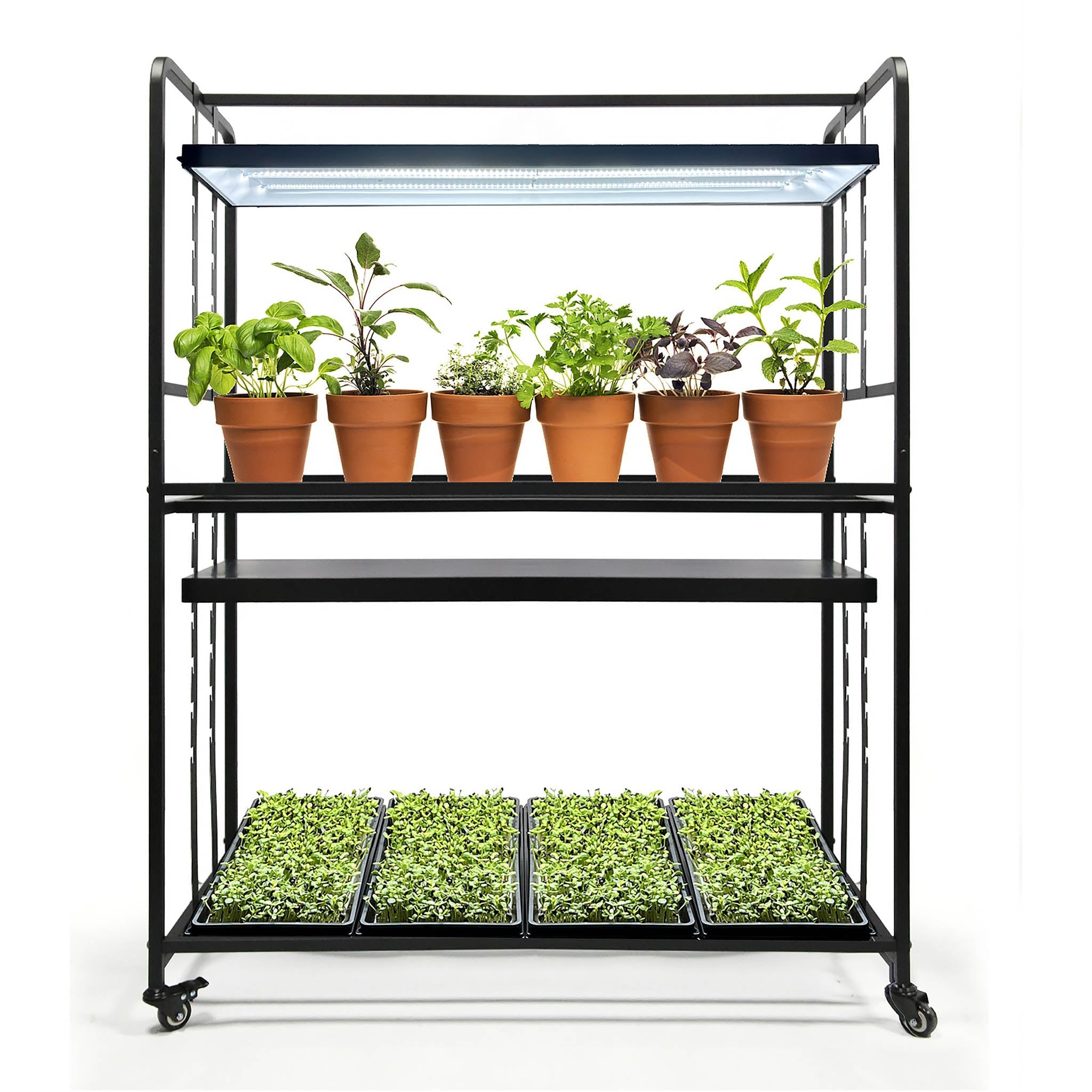 Sunpack LED Grow Light Garden, 2-Tier, 72 Watts