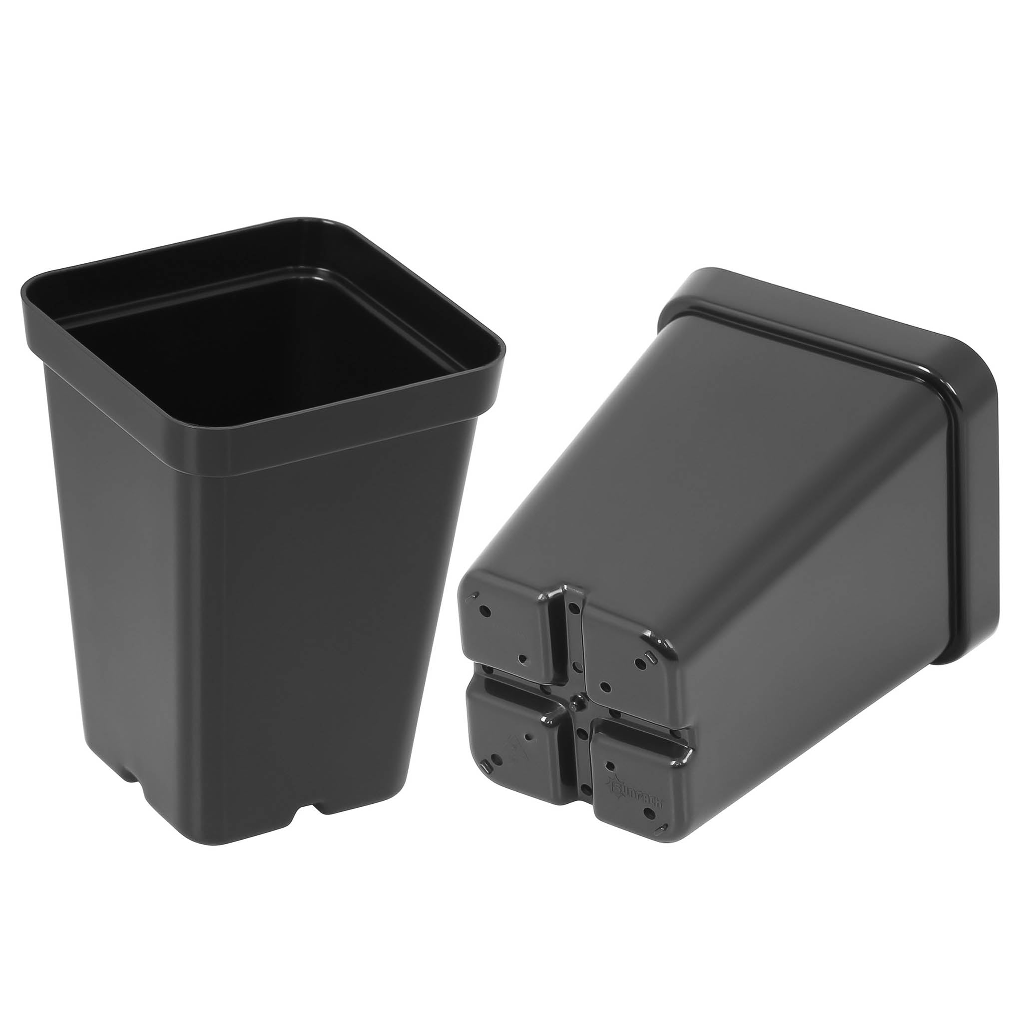 Sunpack Square Pot, 2.5", Pack of 25.