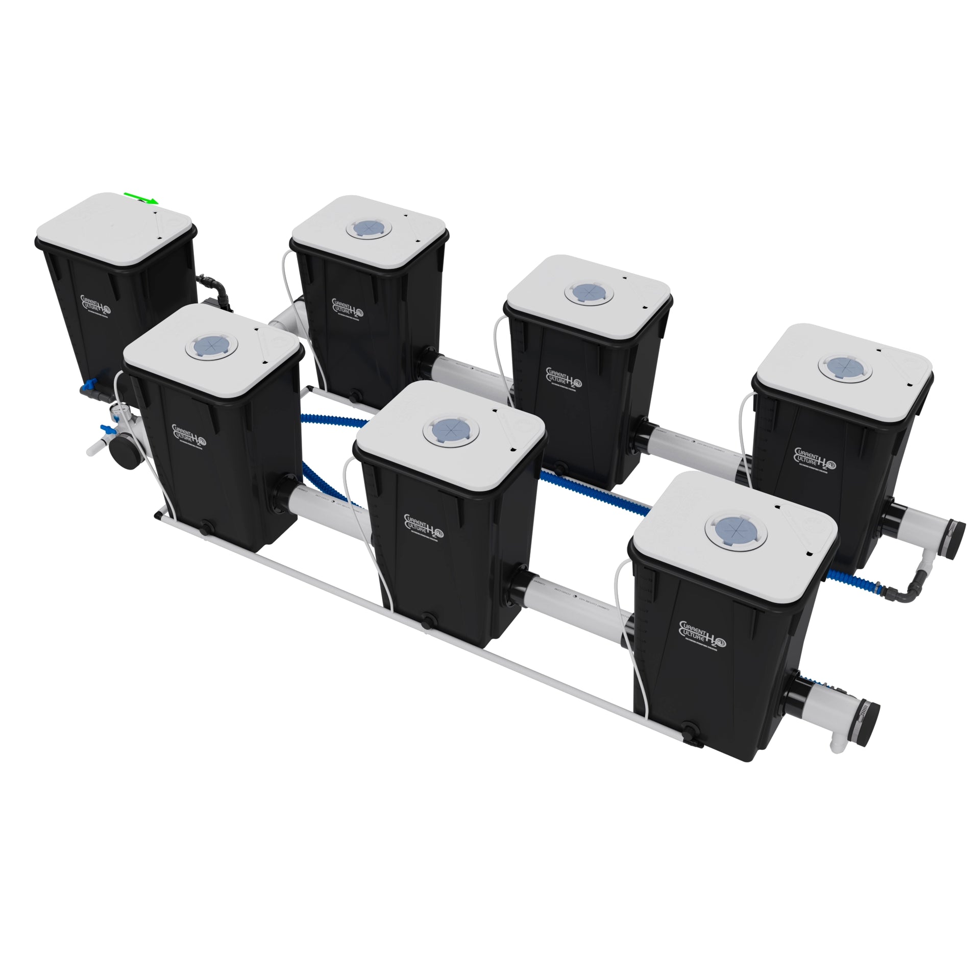 Current Culture Under Current UCXL13 RDWC System