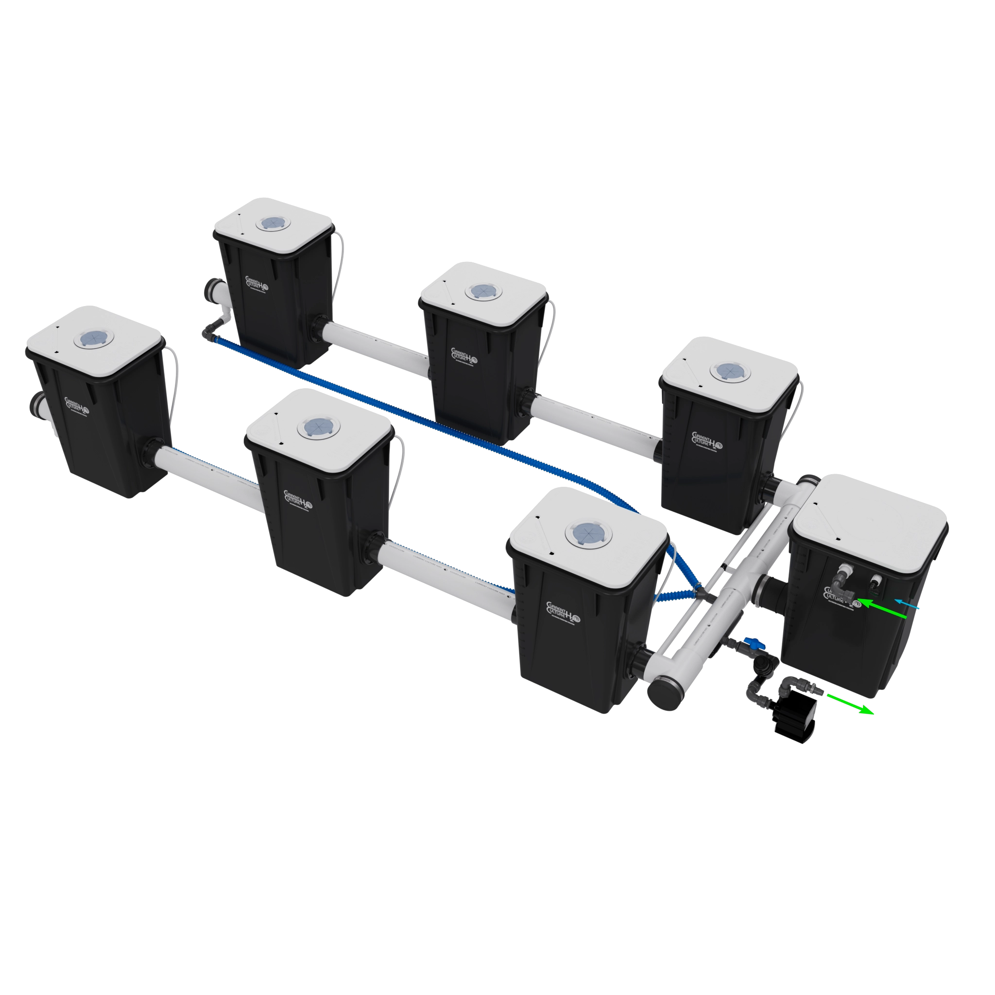 Current Culture Under Current UCXXL13 RDWC System, 6-Site, 2-Row
