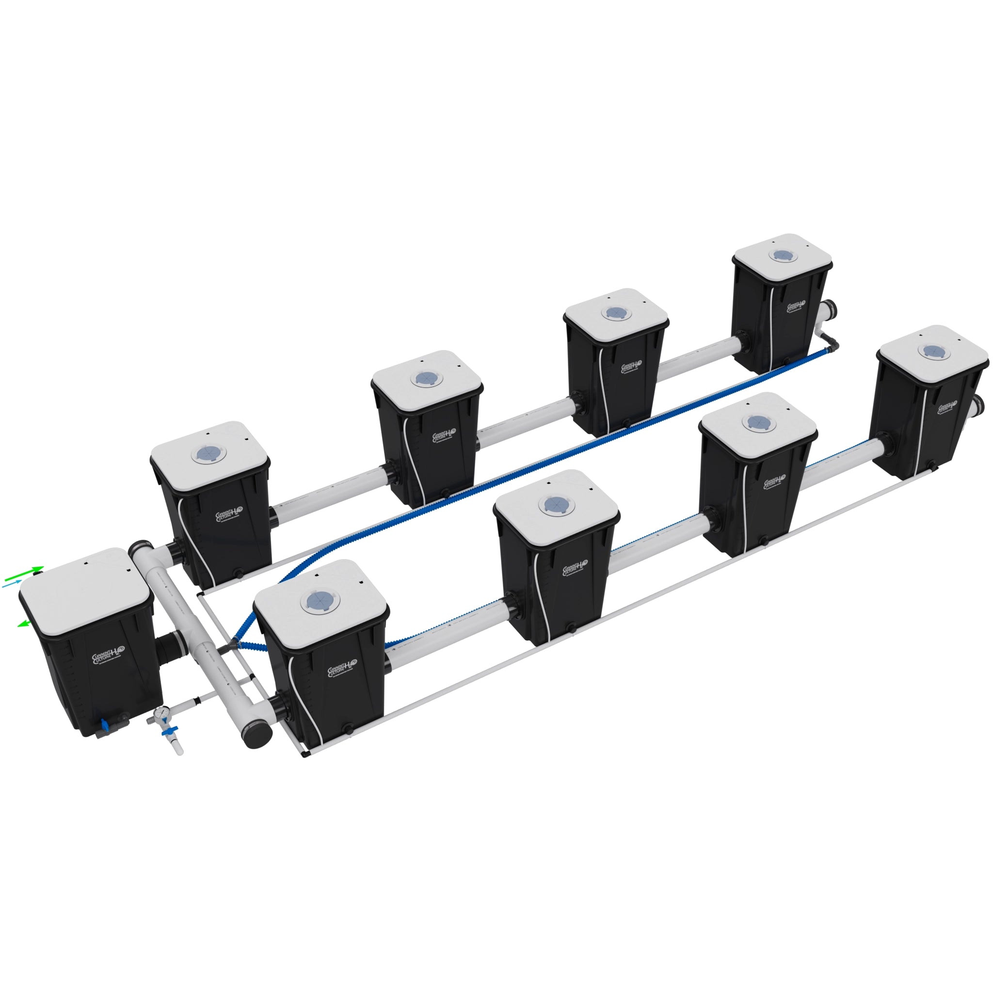 Current Culture Under Current UCXXL13 RDWC System
