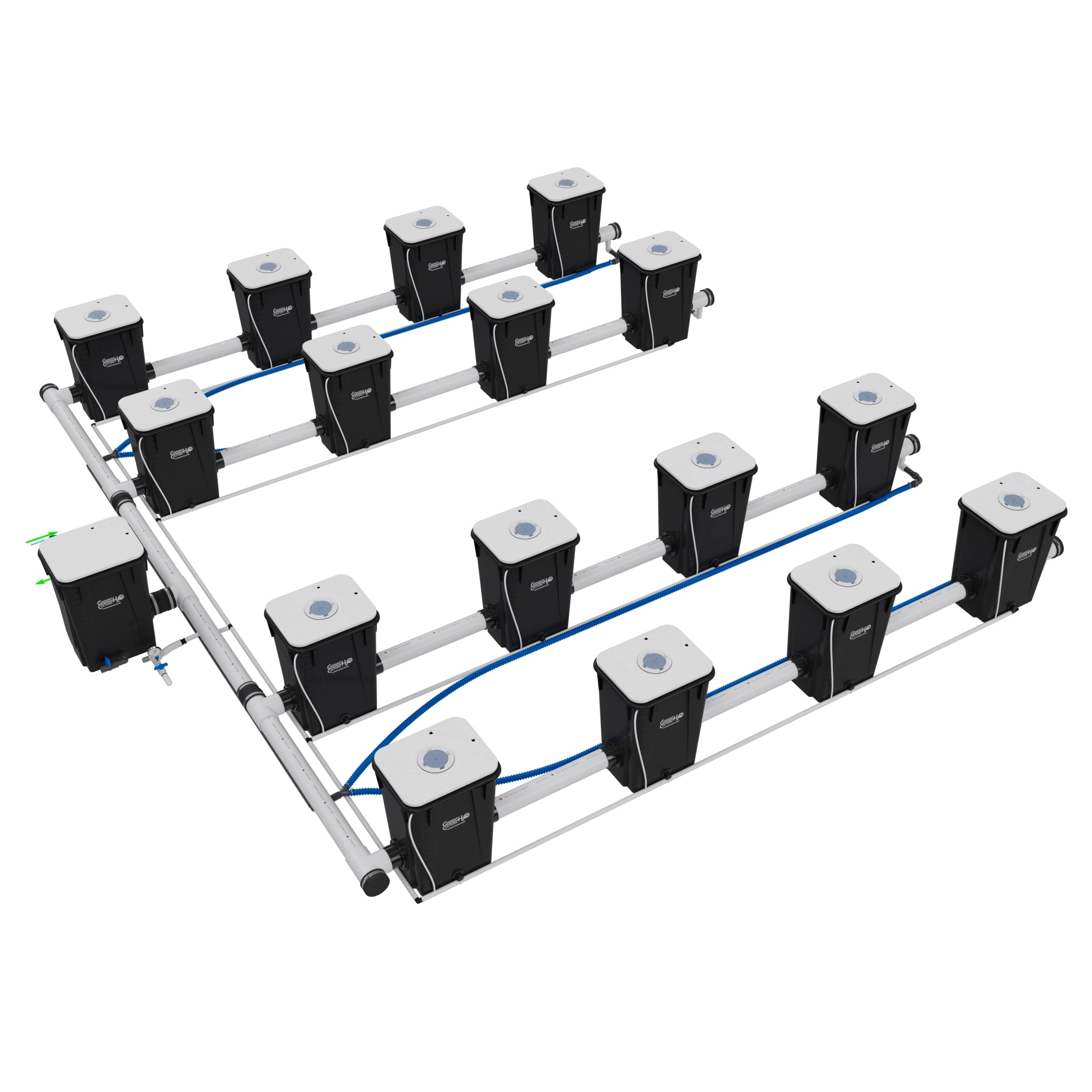 Current Culture Under Current UCXXL13 RDWC System