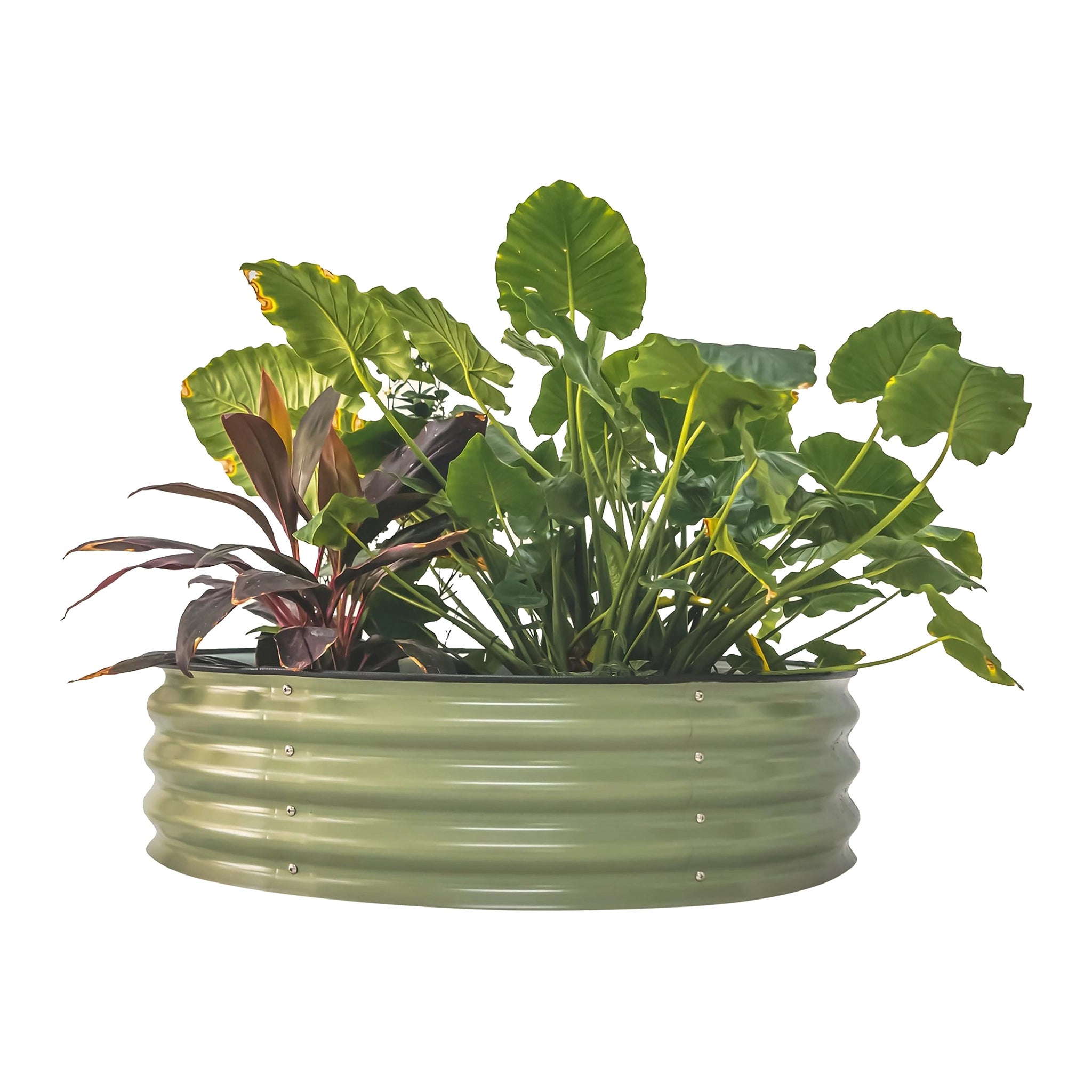 Vego Garden Round Metal Raised Garden Bed, 11 Inch, Olive Green
