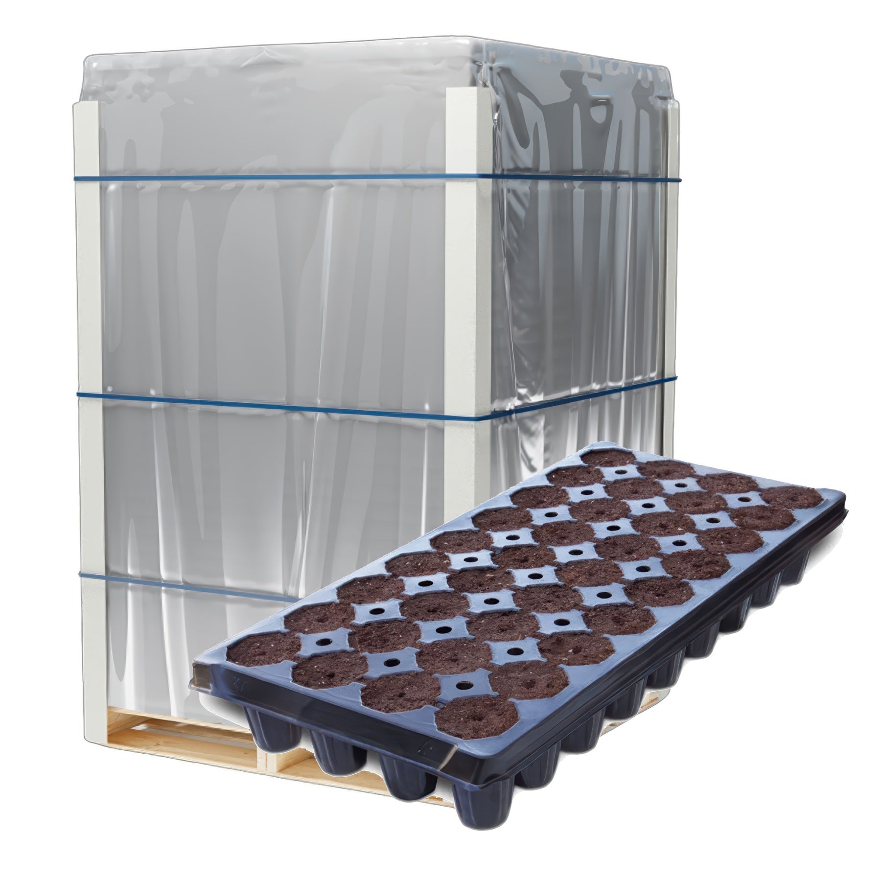 IHORT 36 Deep Prefilled Excel Plug Tray