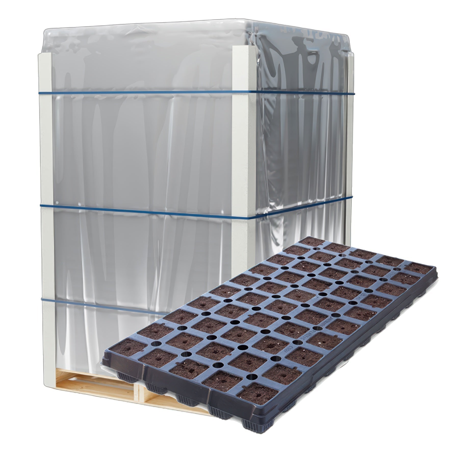 IHORT T50 Prefilled Excel Plug Tray