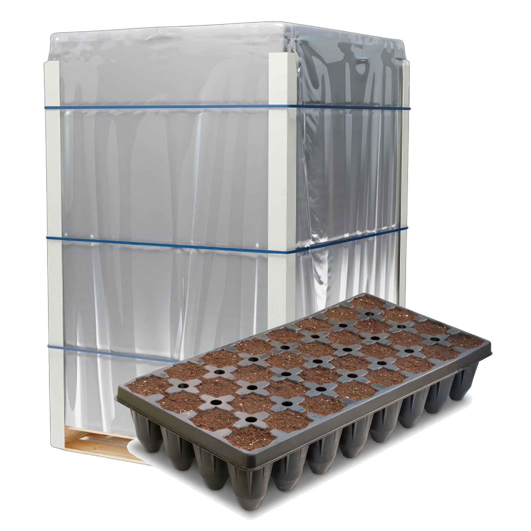 IHORT 32 Star Prefilled Excel Plug Tray