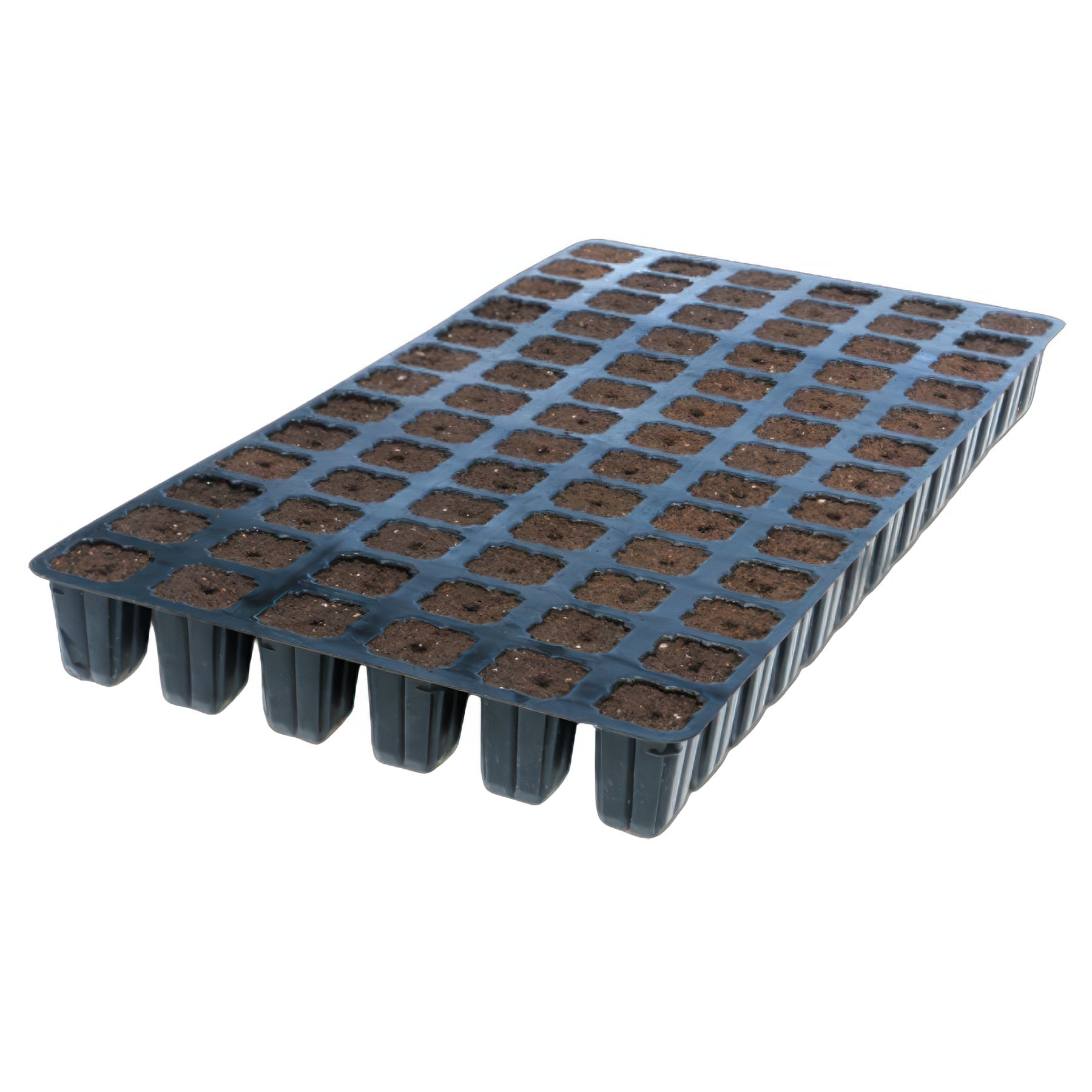 IHORT 78 Solid Prefilled Excel Plug Tray