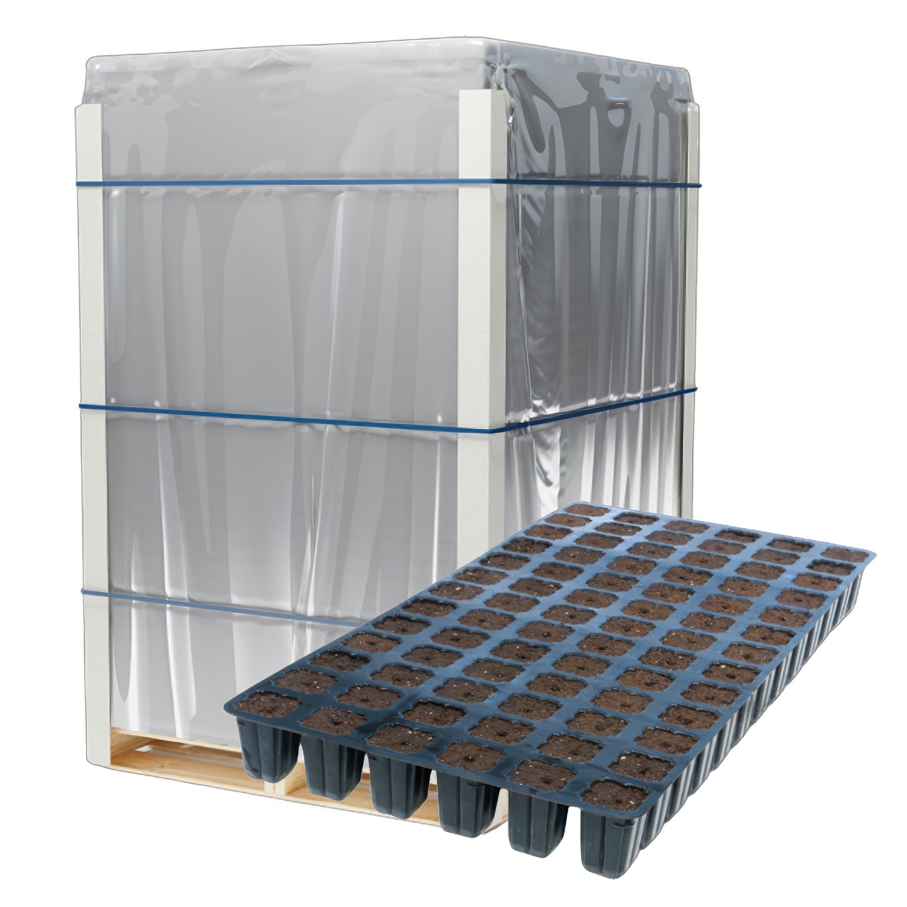 IHORT 78 Solid Prefilled Excel Plug Tray