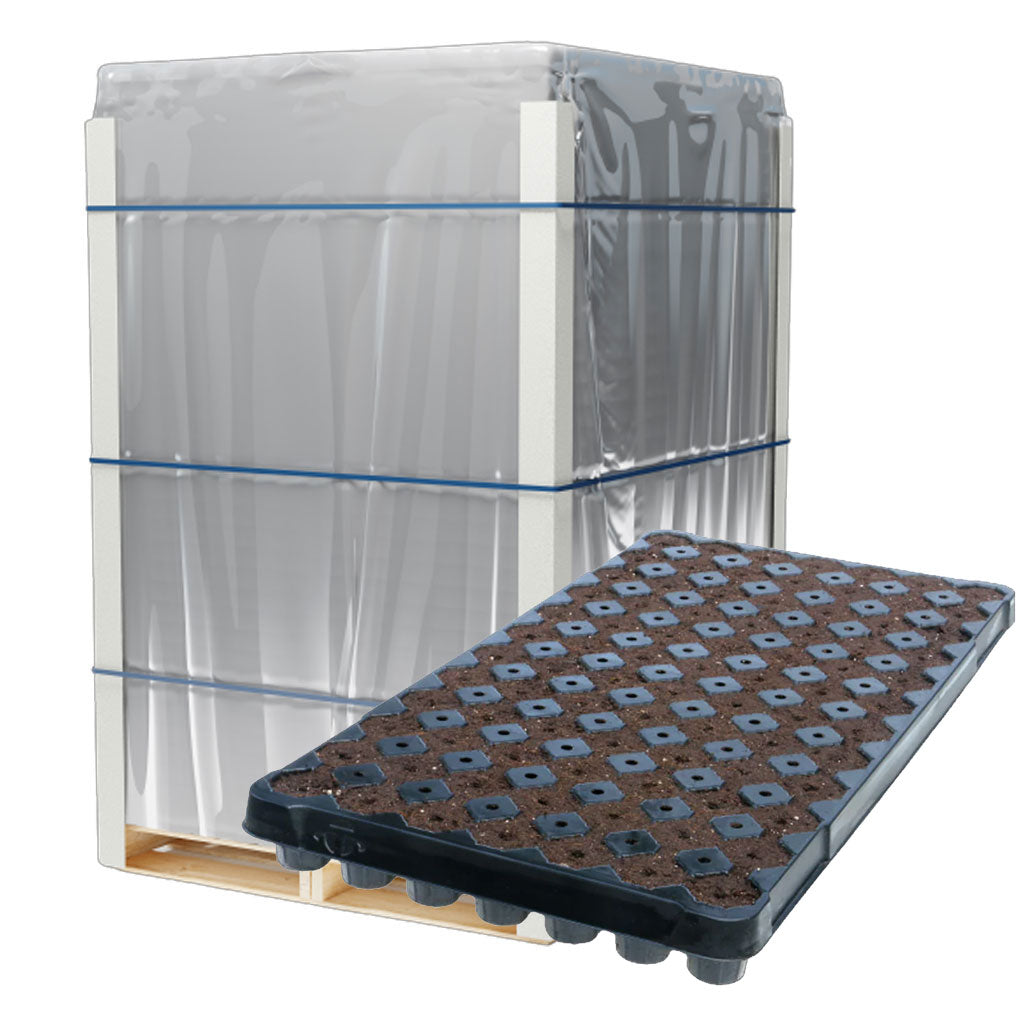 IHORT 84 Star Prefilled Excel Plug Tray, Wrapped Pallet of 320 Trays - 26,880 Total Plugs
