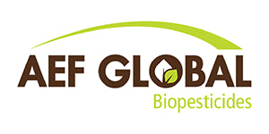 AEF Global Brand Product