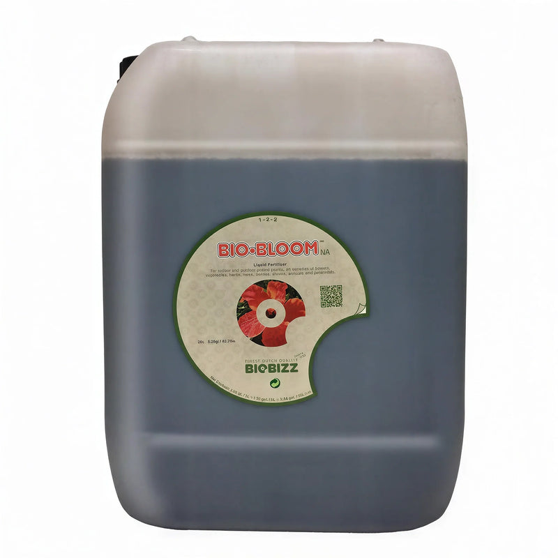 bbb20l-ai-product-